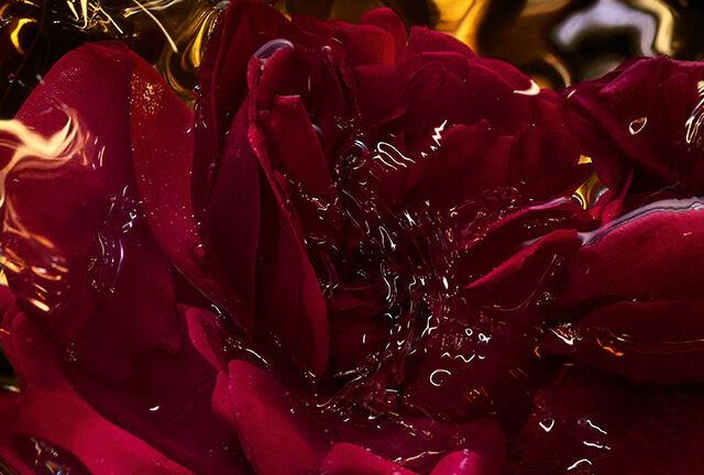 WK15_25-Guerlain_02