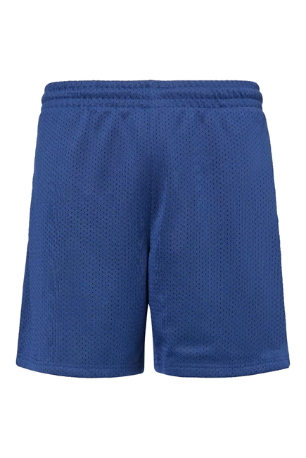 Everywear Basketball Shorts:Ash Blue:XS