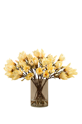 زهور ماغنوليا في مزهرية زجاجية