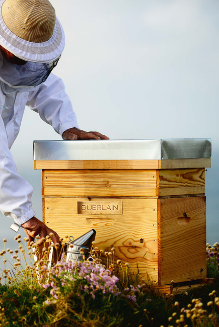 لوشن أباي رويال لتقوية البشرة بغذاء ملكات النحل
