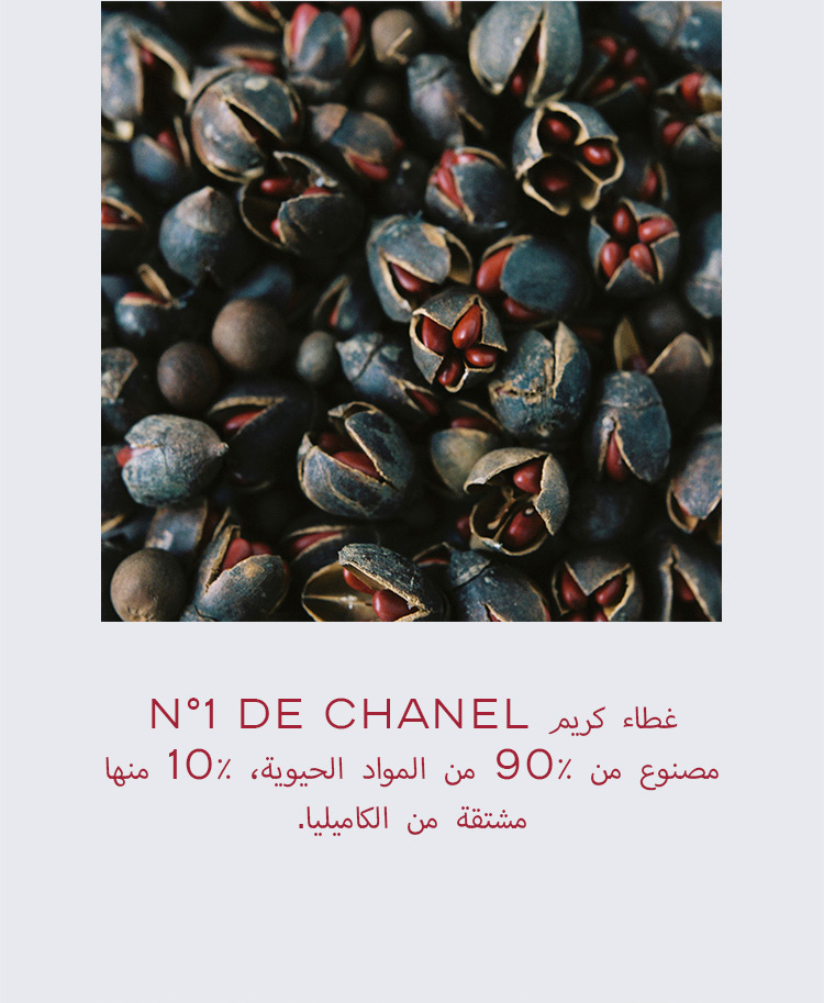 N°1 DE CHANEL