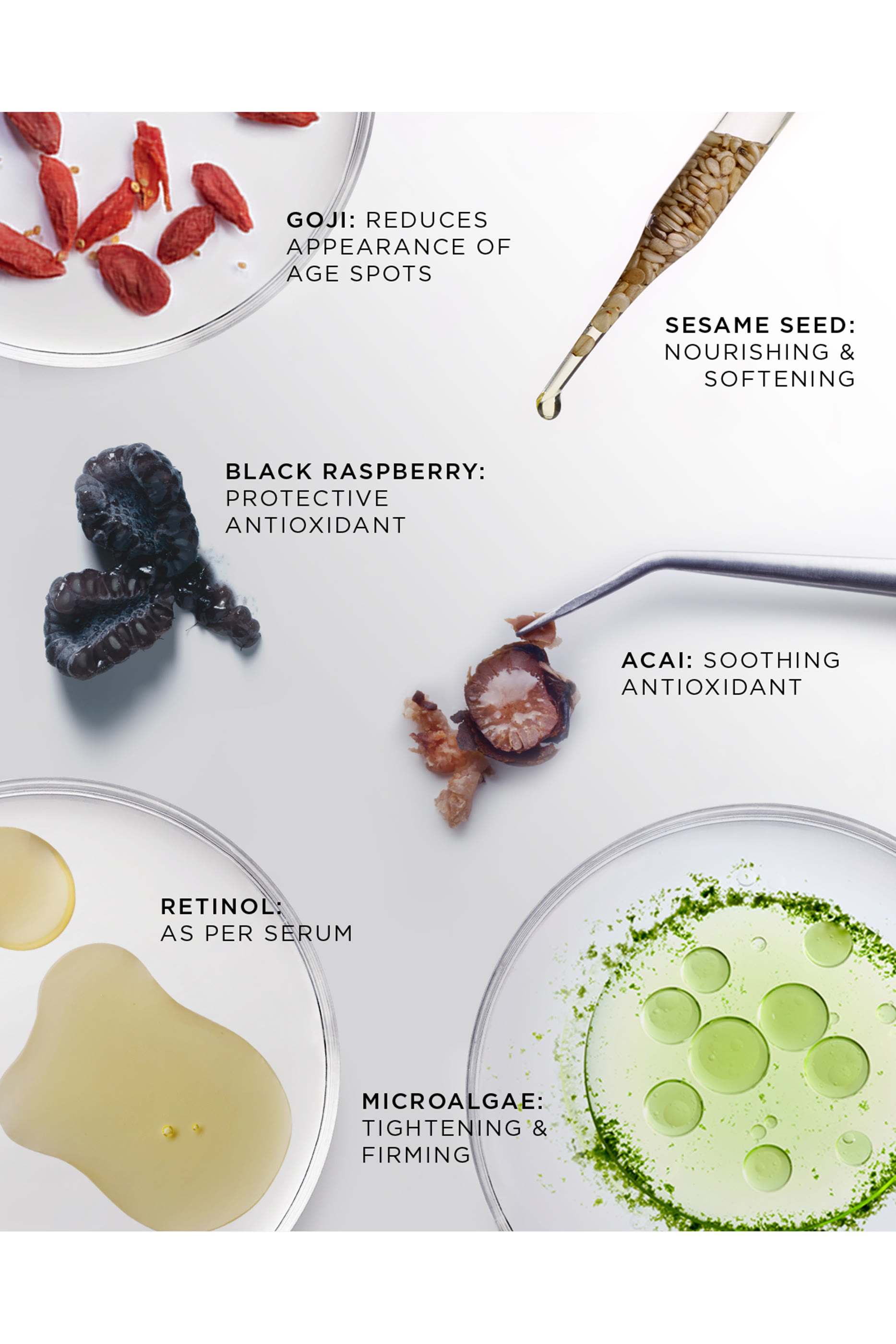 عبوة إعادة ملء مرطب أبسولوت أكتيف لتجديد البشرة