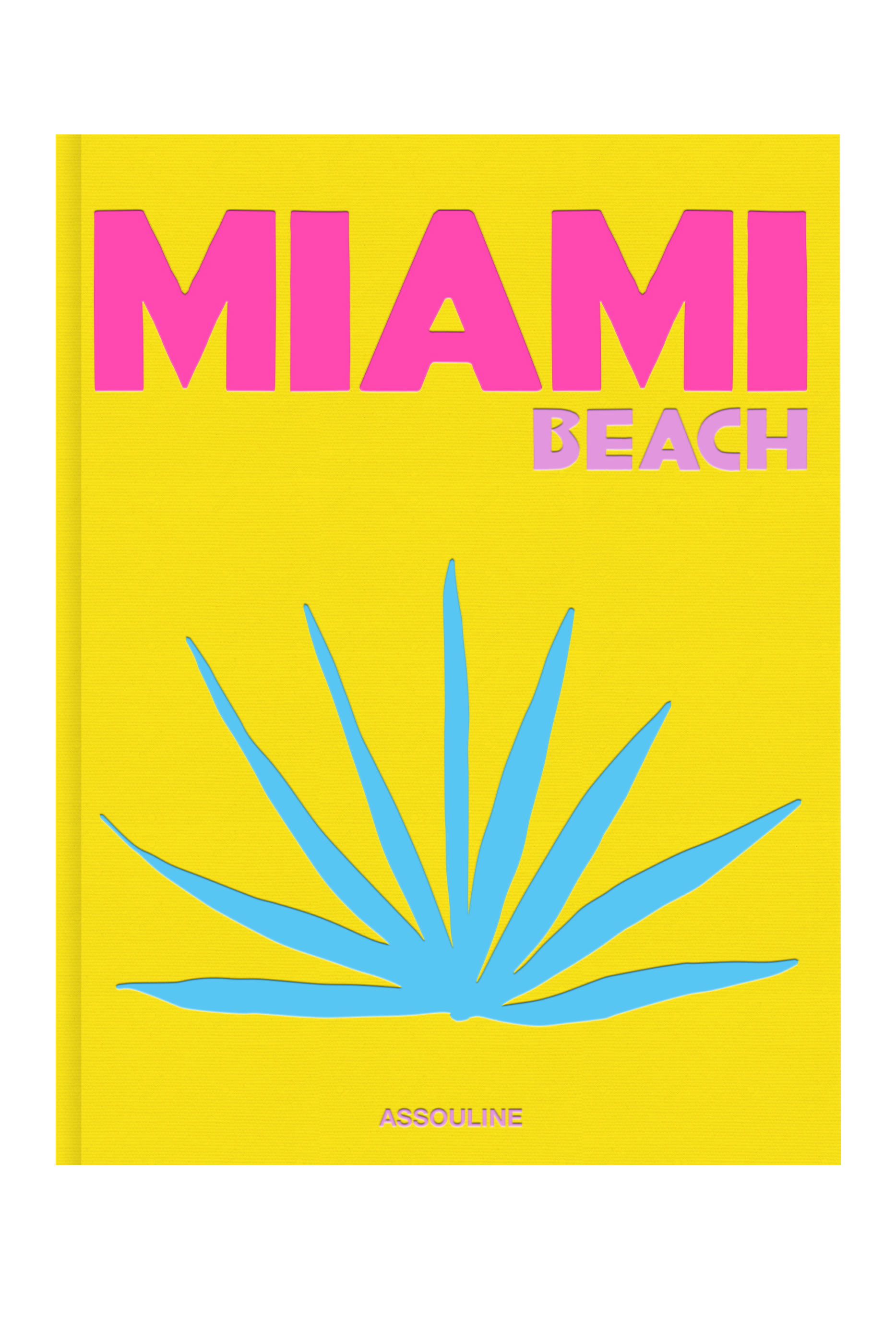 كتاب ميامي بيتج