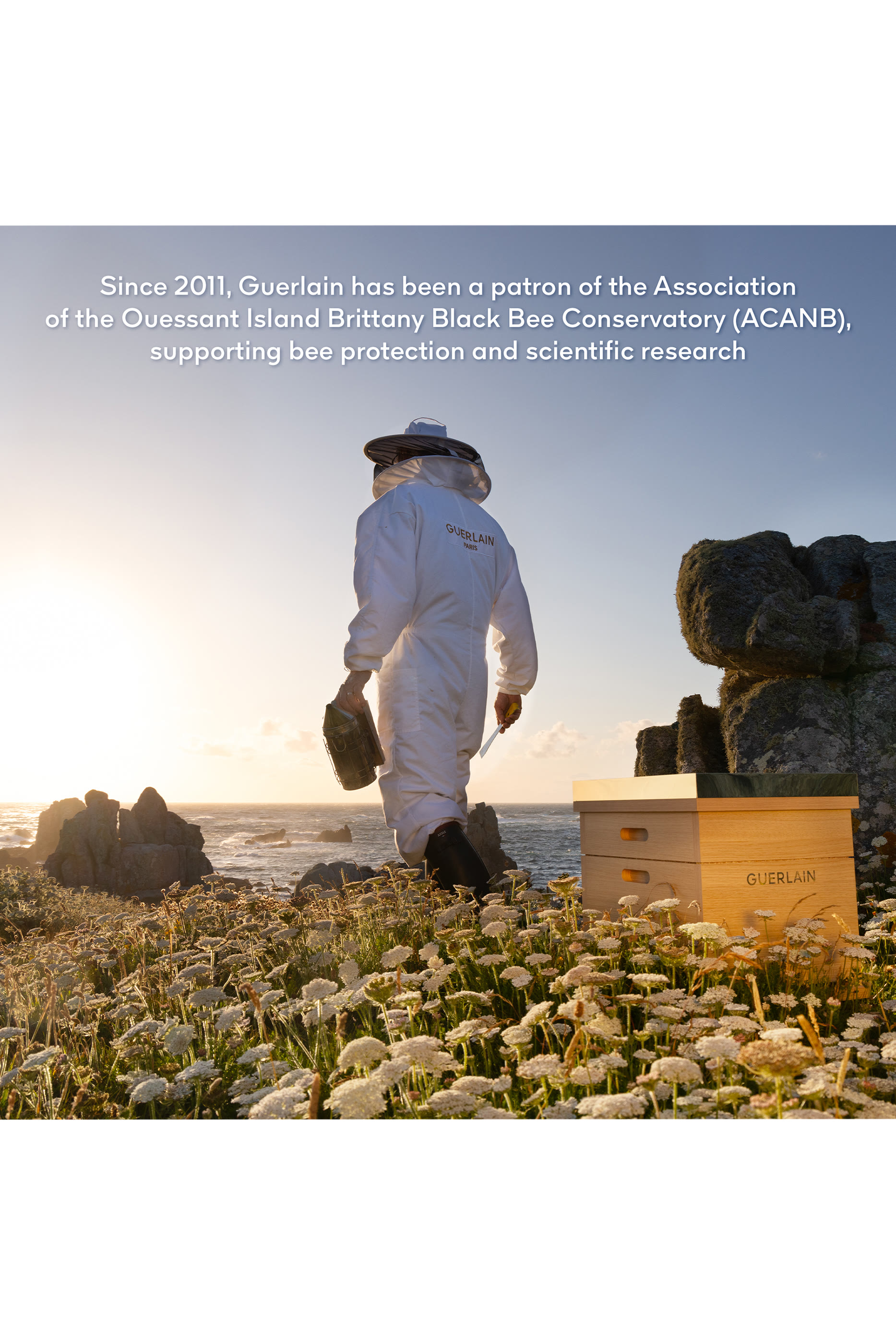 سيروم أباي رويال يوث واتري أويل