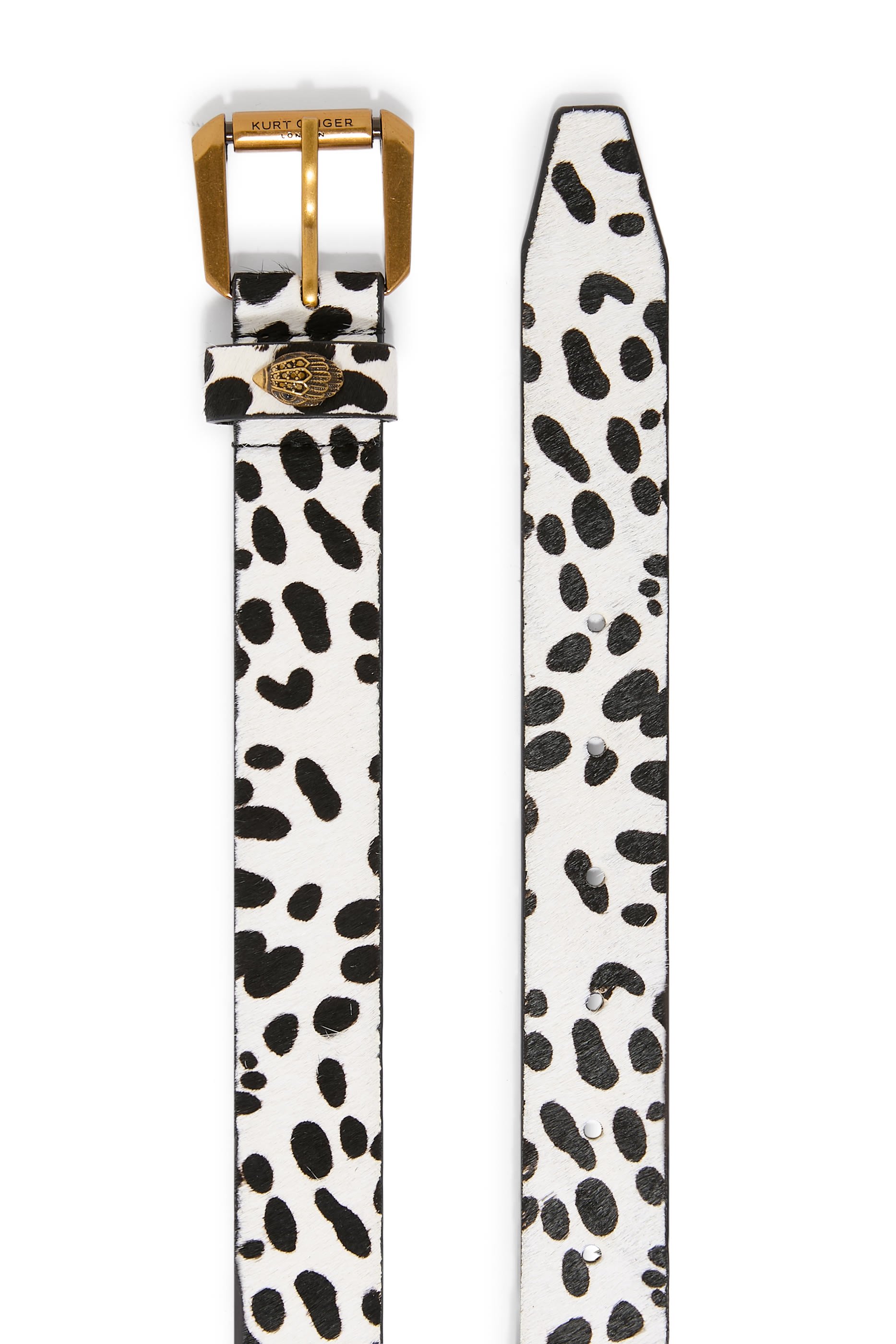 حزام كنسنغتون 30