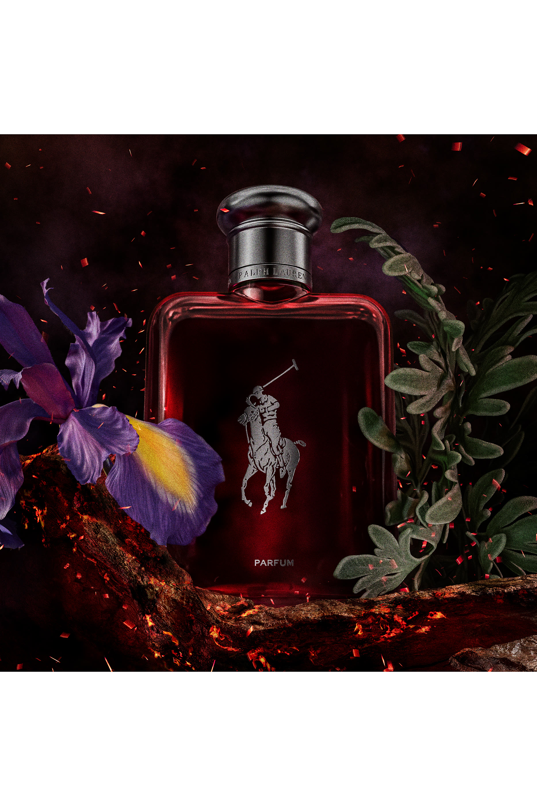 عطر بولو ريد