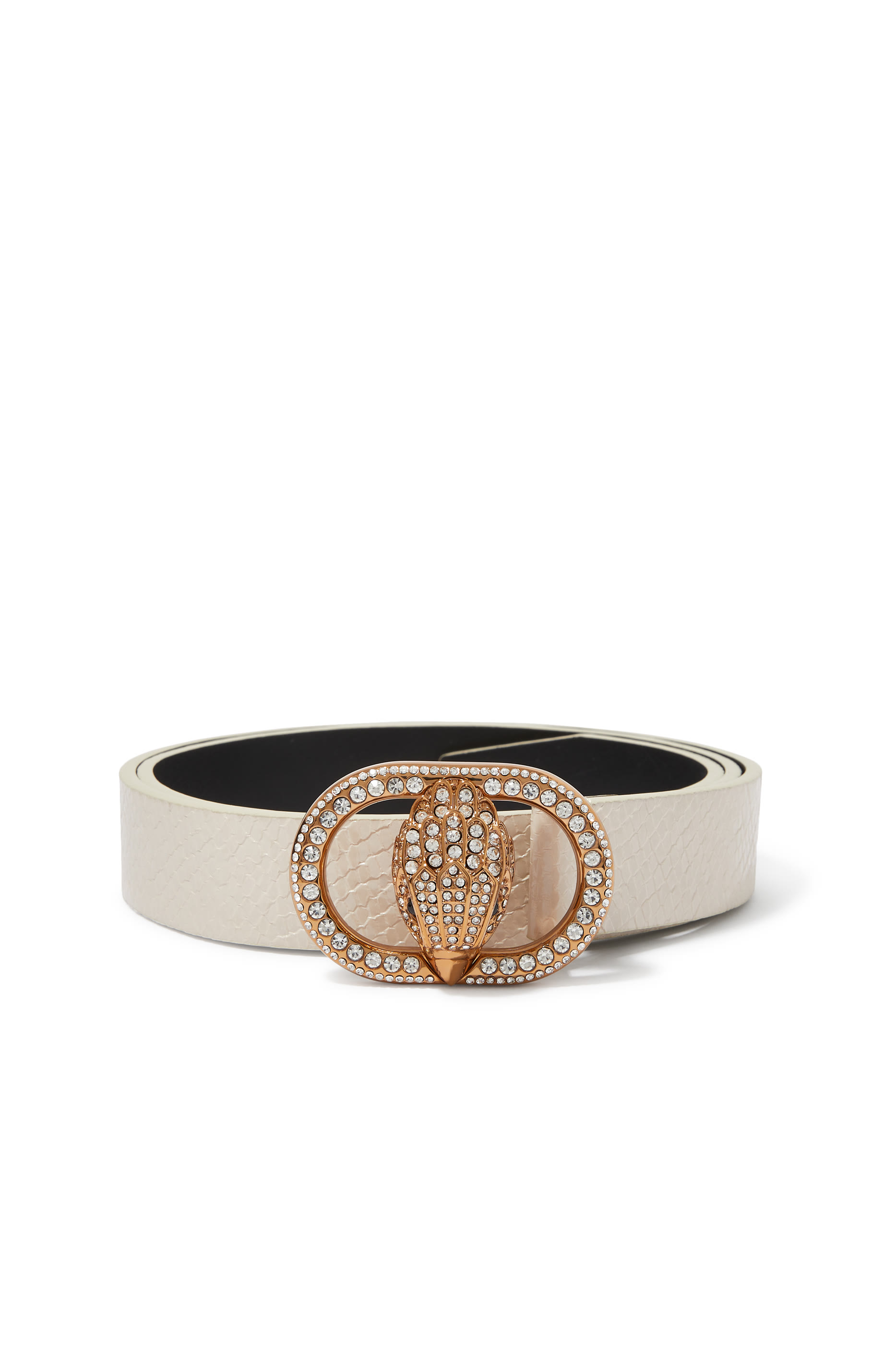 حزام تشيلسي