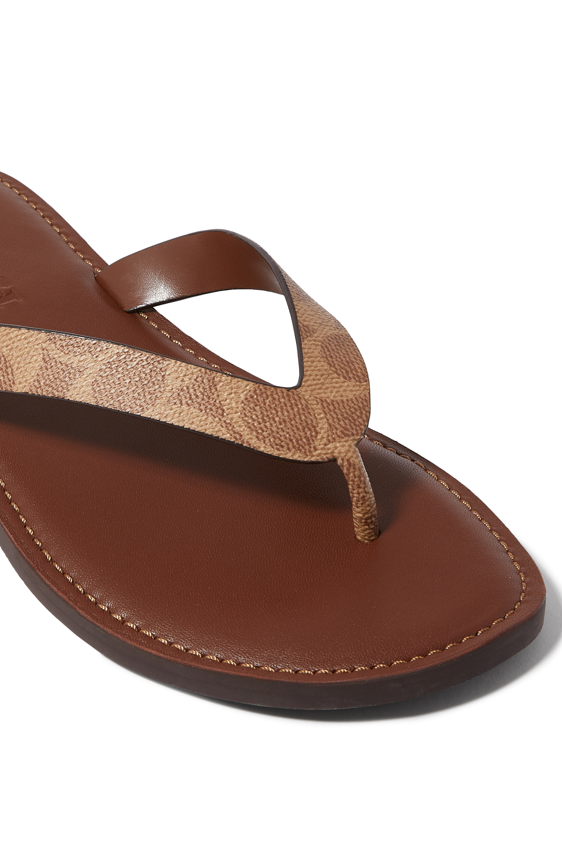 فليب فلوب بريانا