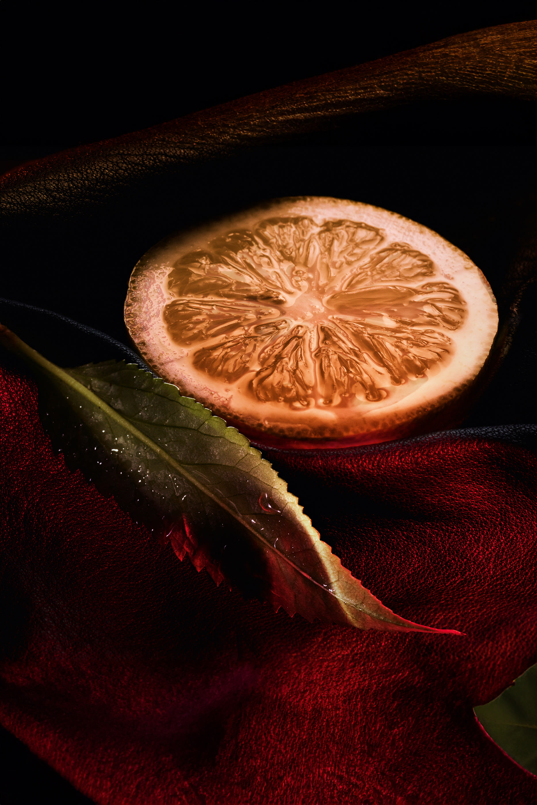 أو دو بارفان هابيت روج روج بريفيه