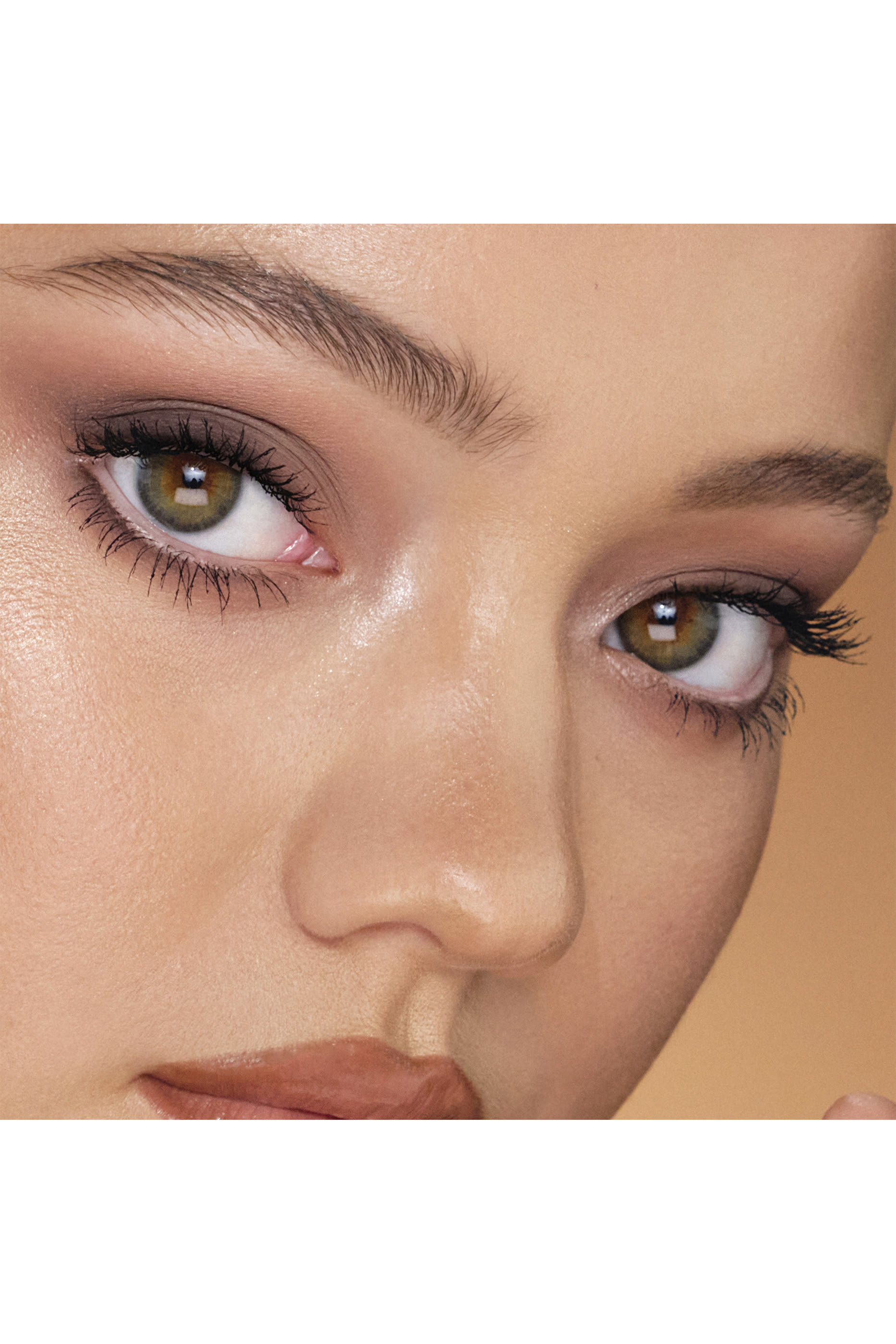 مجموعة سبرينج باليت فولت