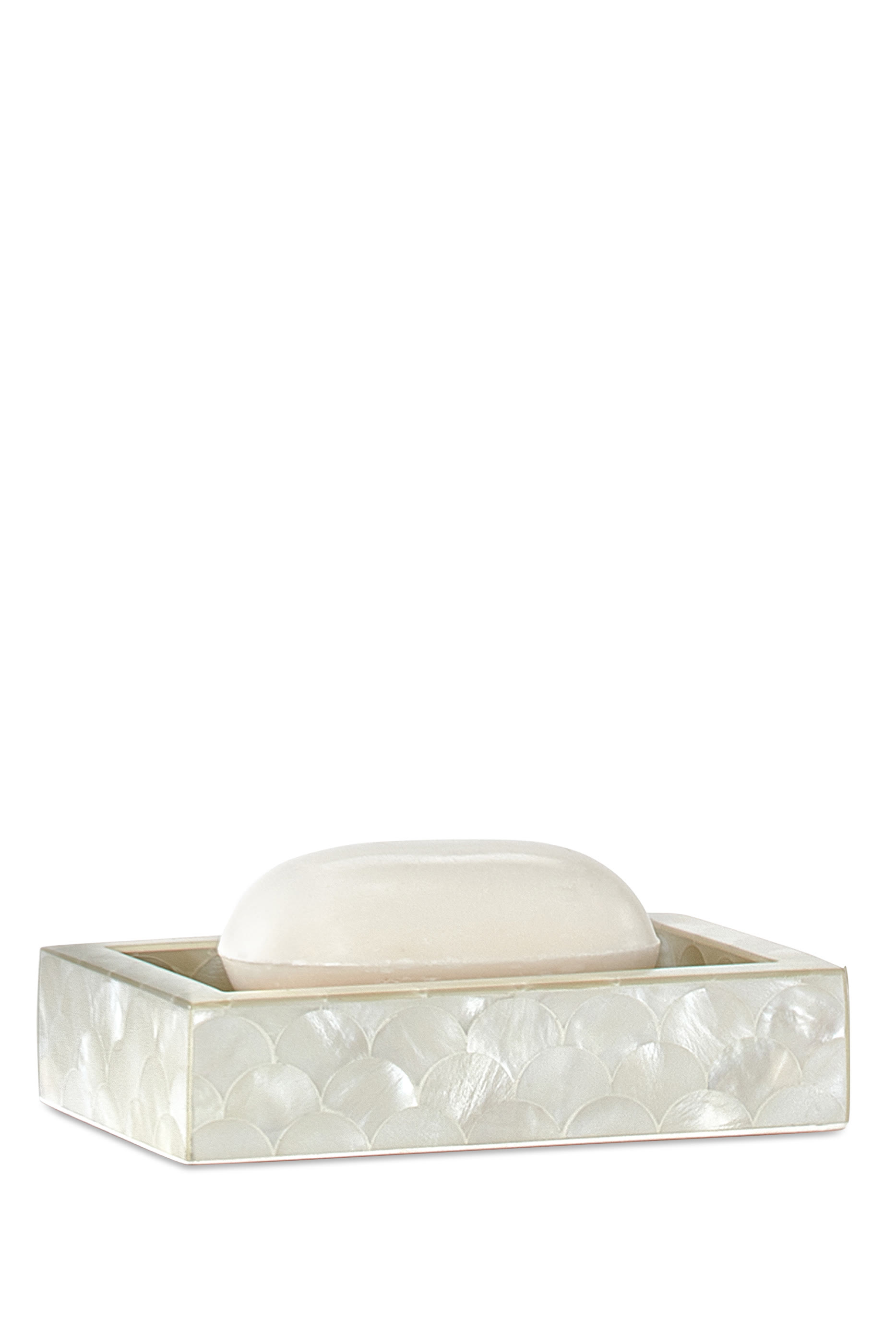 طبق صابون بواسون