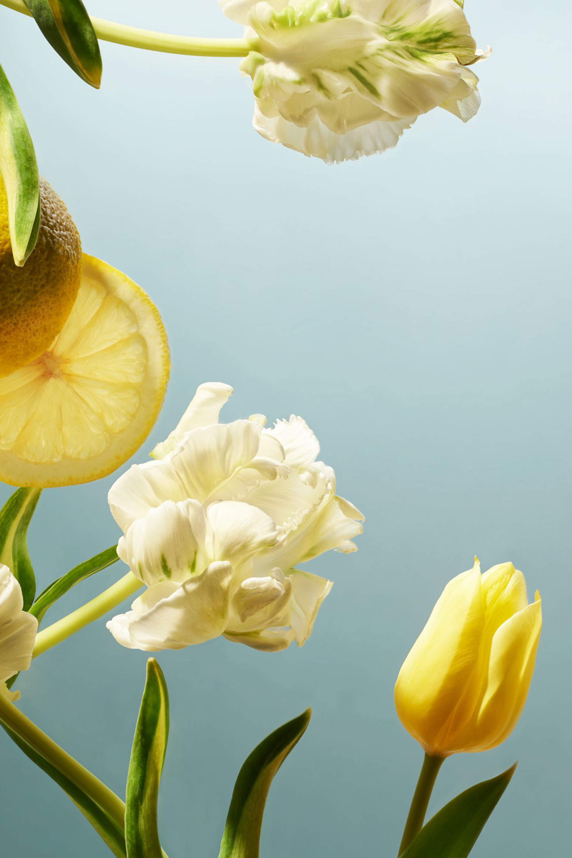 شاور جل رغوي من مجموعة أمستردام