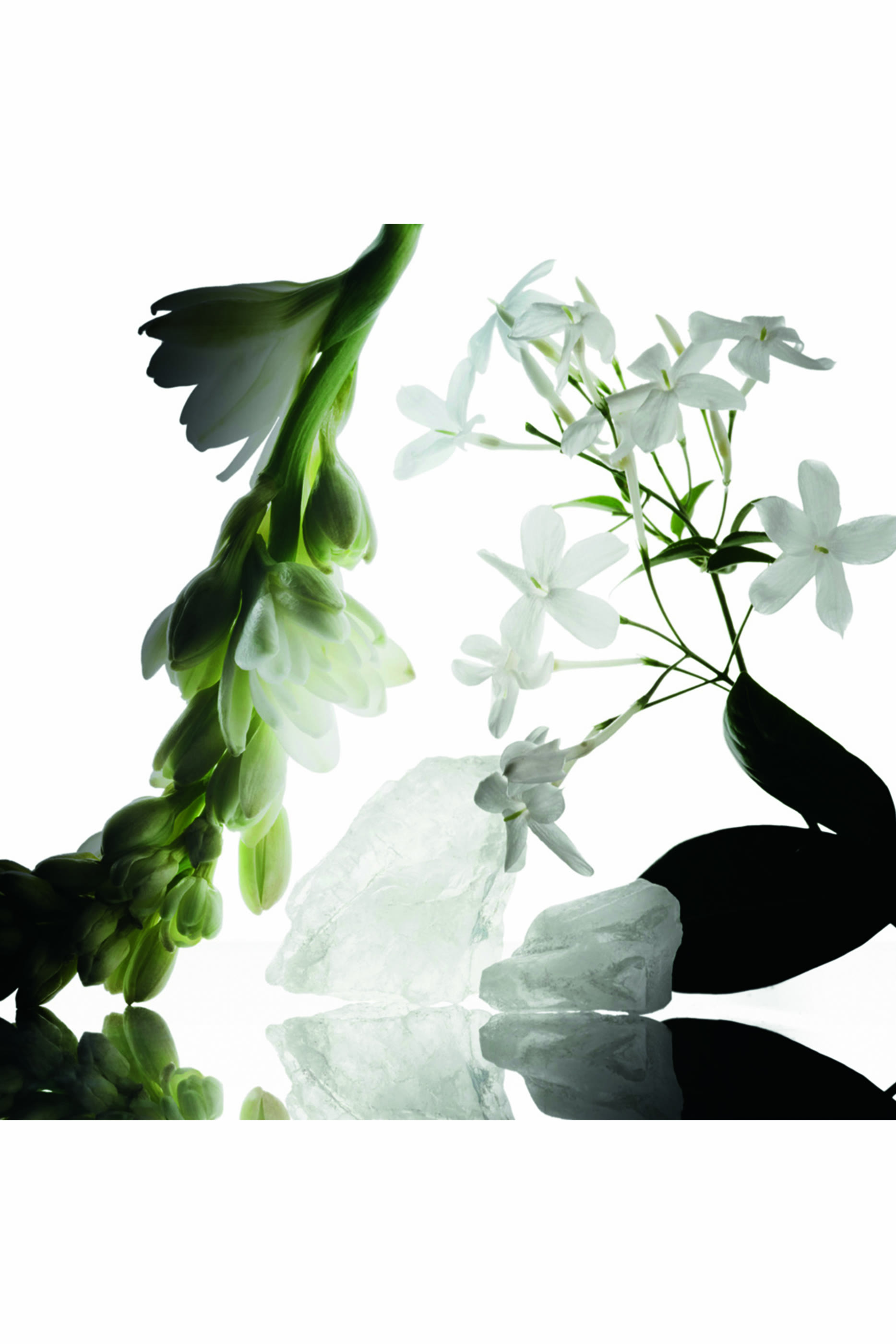 أو دو بارفان  وايلد توبروز مجموعة مسك