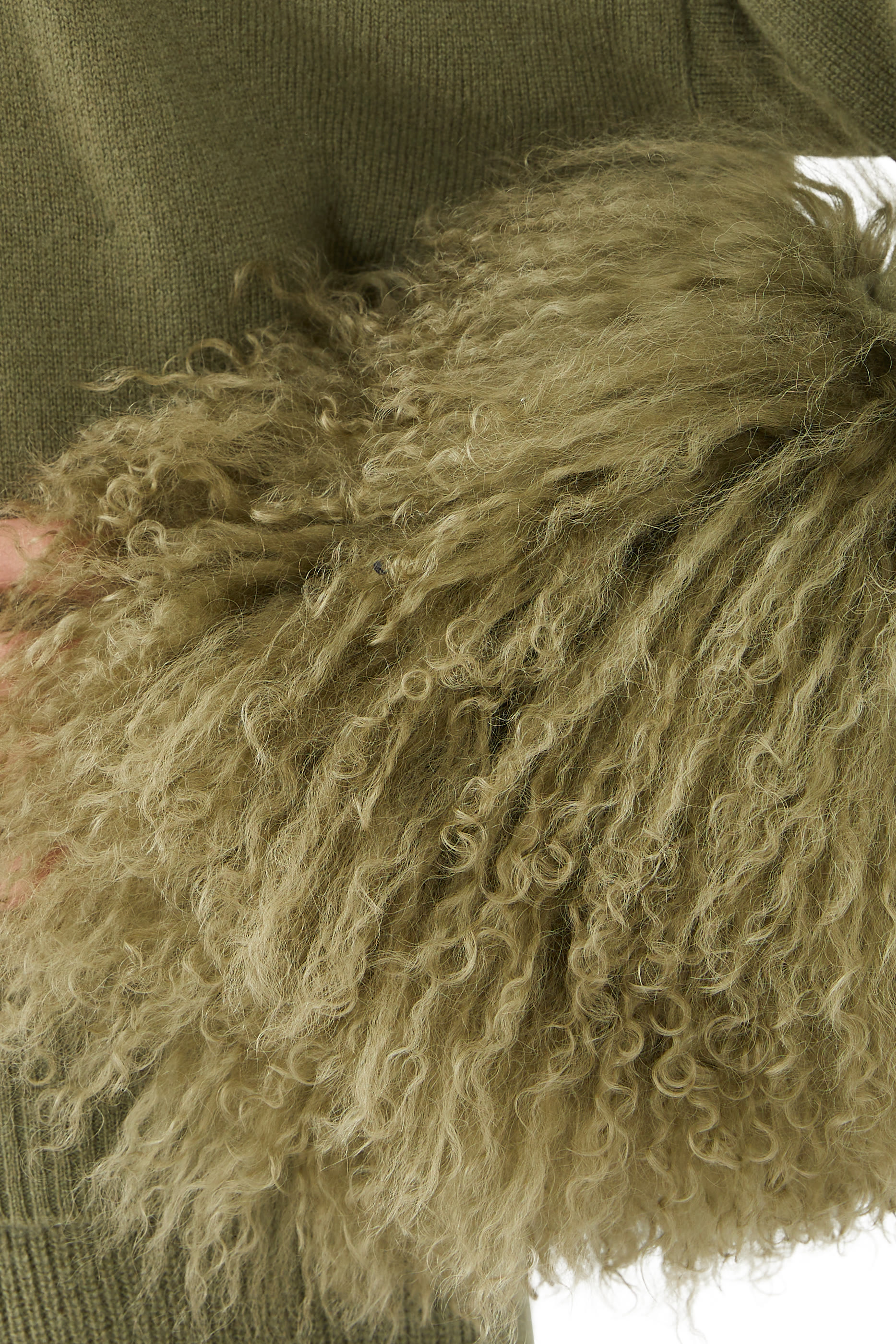 كارديجان بأساور بفرو