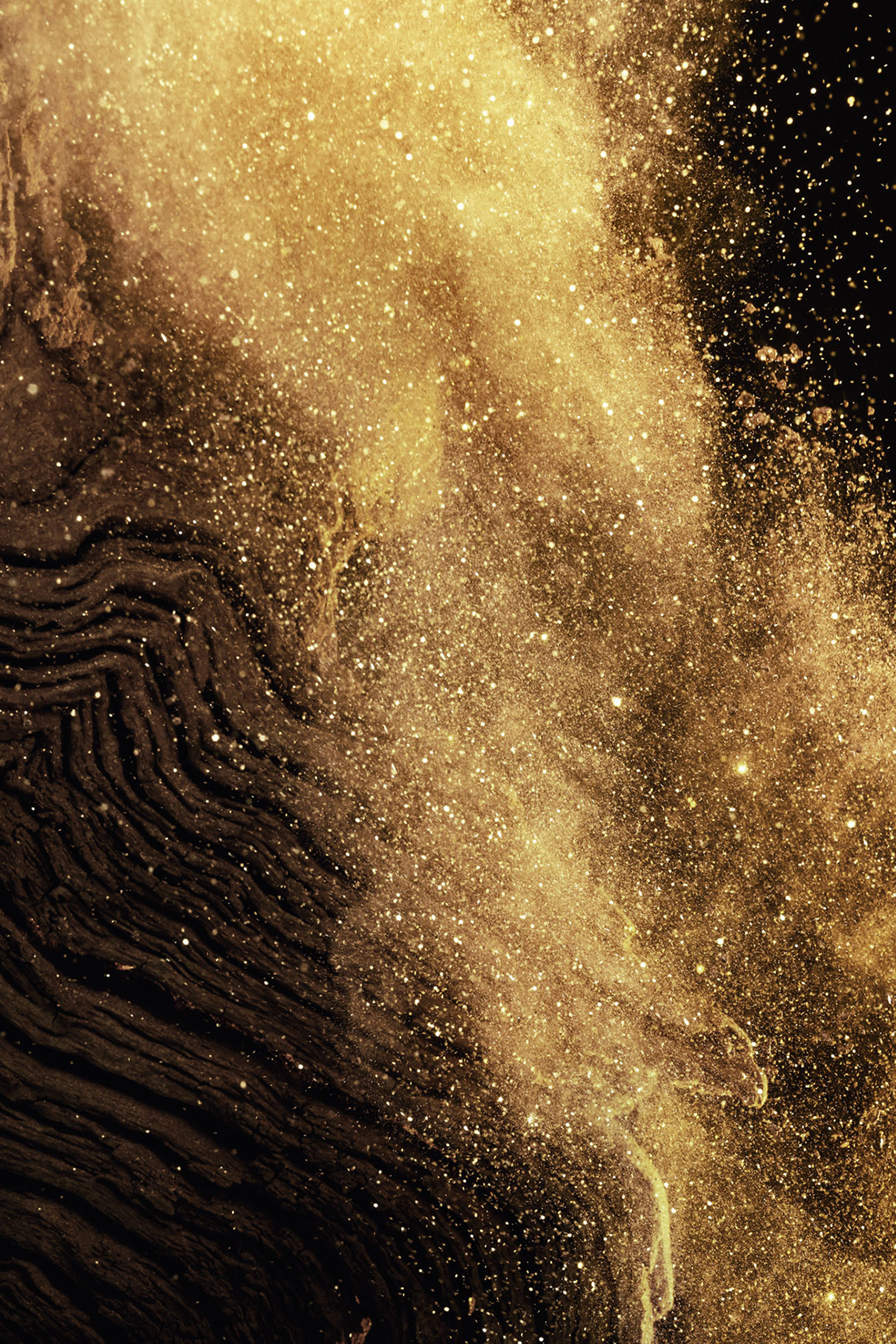 أو دو بارفان ايبيسيز إكسكويسيز