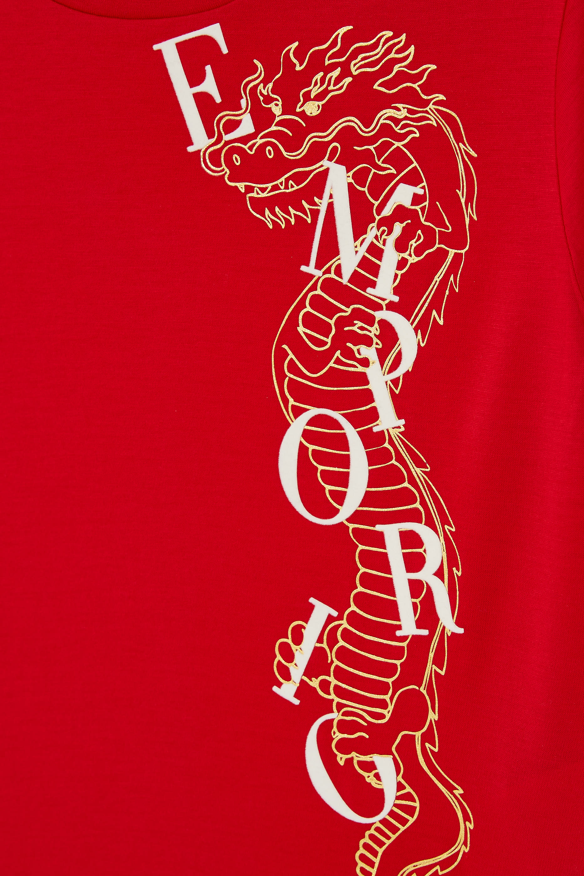 تيشيرت للاطفال بطبعة شعار السنة الصينية الجديدة