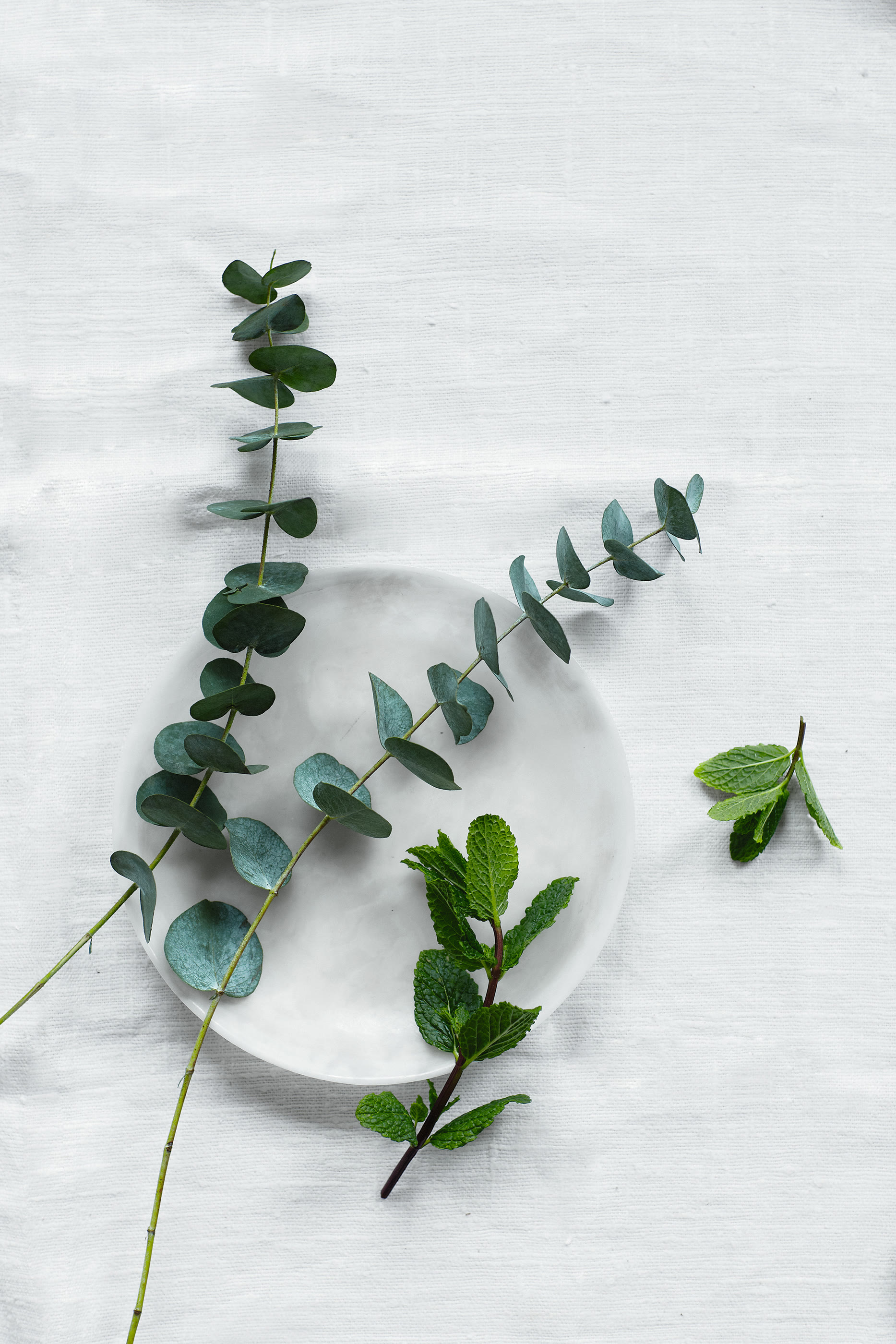 سلة سبا ريستور وبلنس