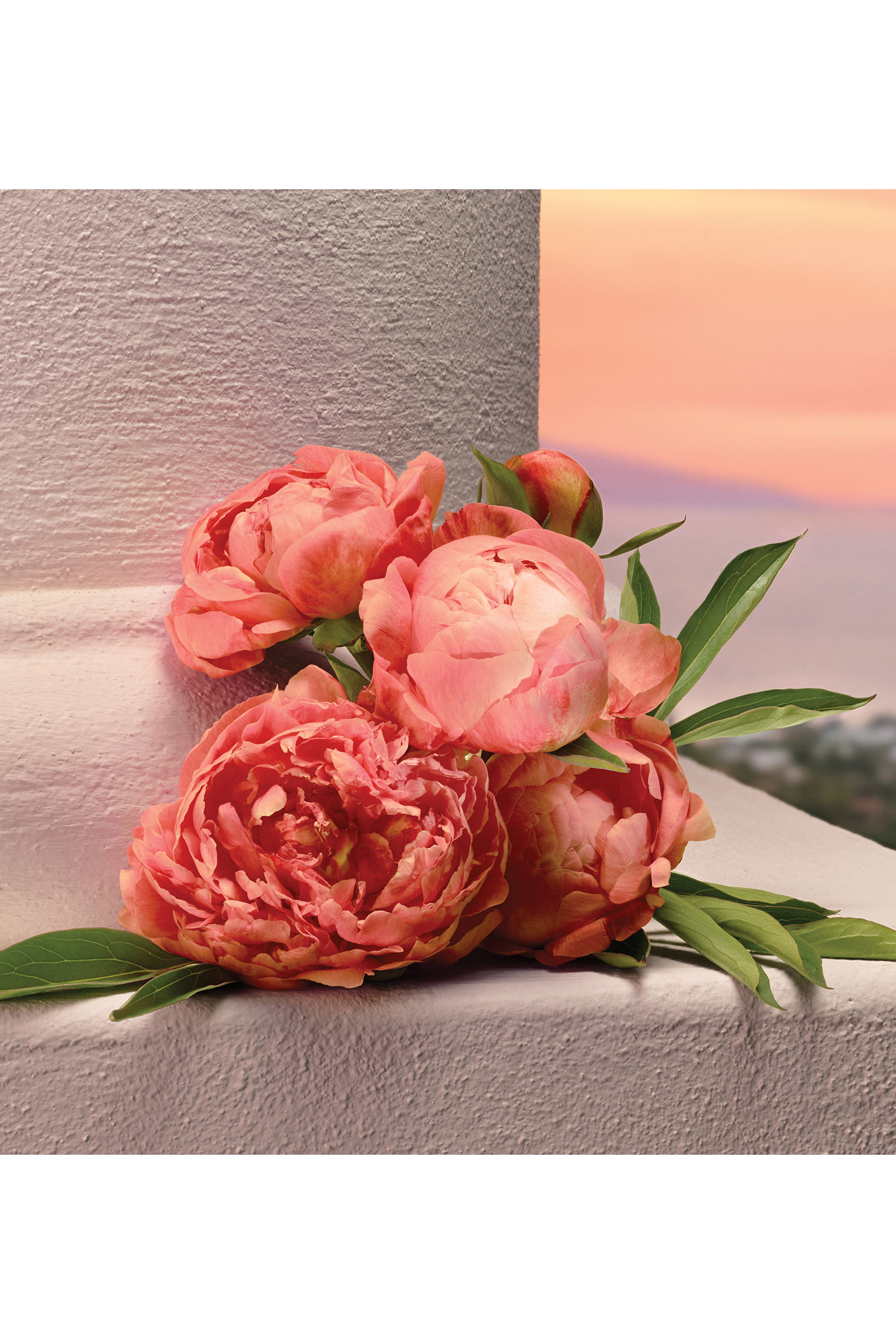 أو دو بارفان ماي ديفوشن مركز