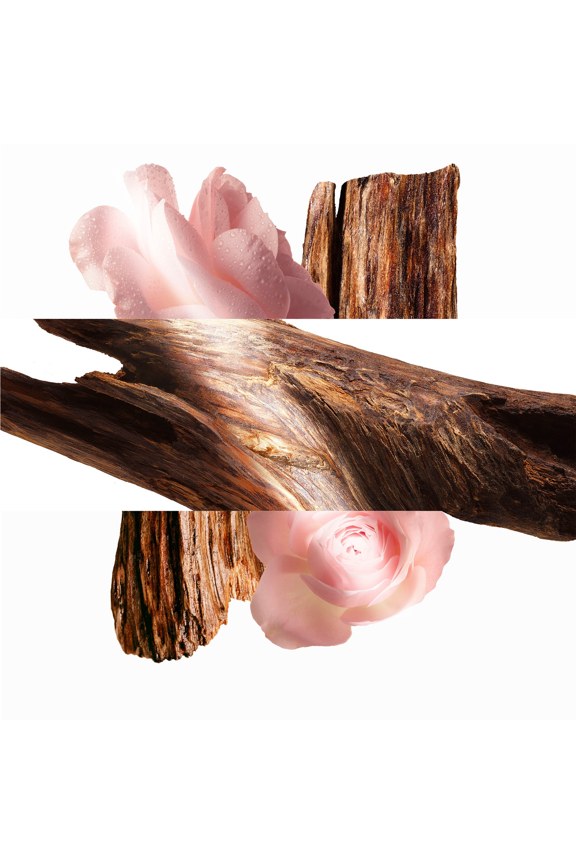 عبوة إعادة ملء أو دو بارفان Oud Alezan 