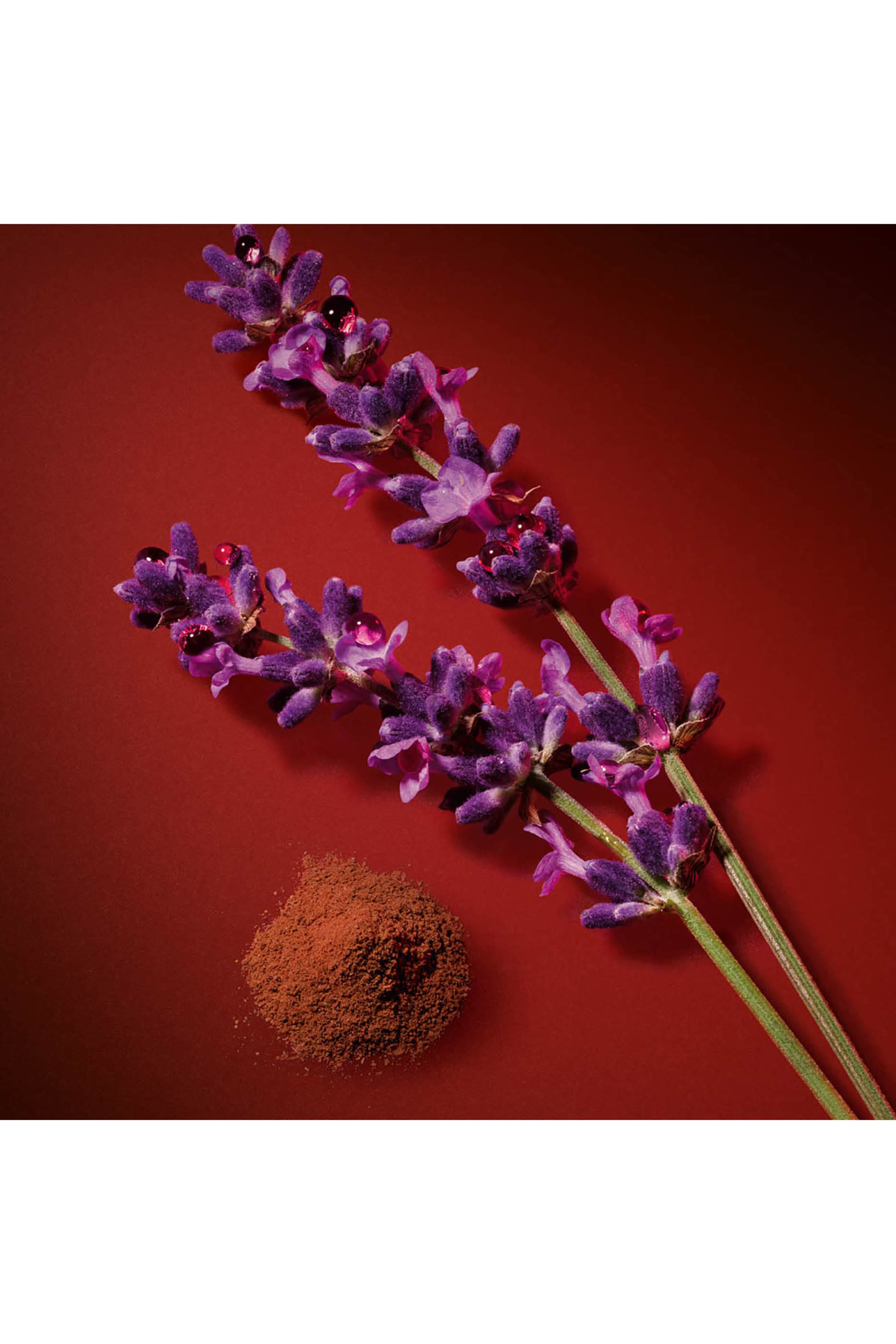 Stronger With You Powerfully Eau de Parfum