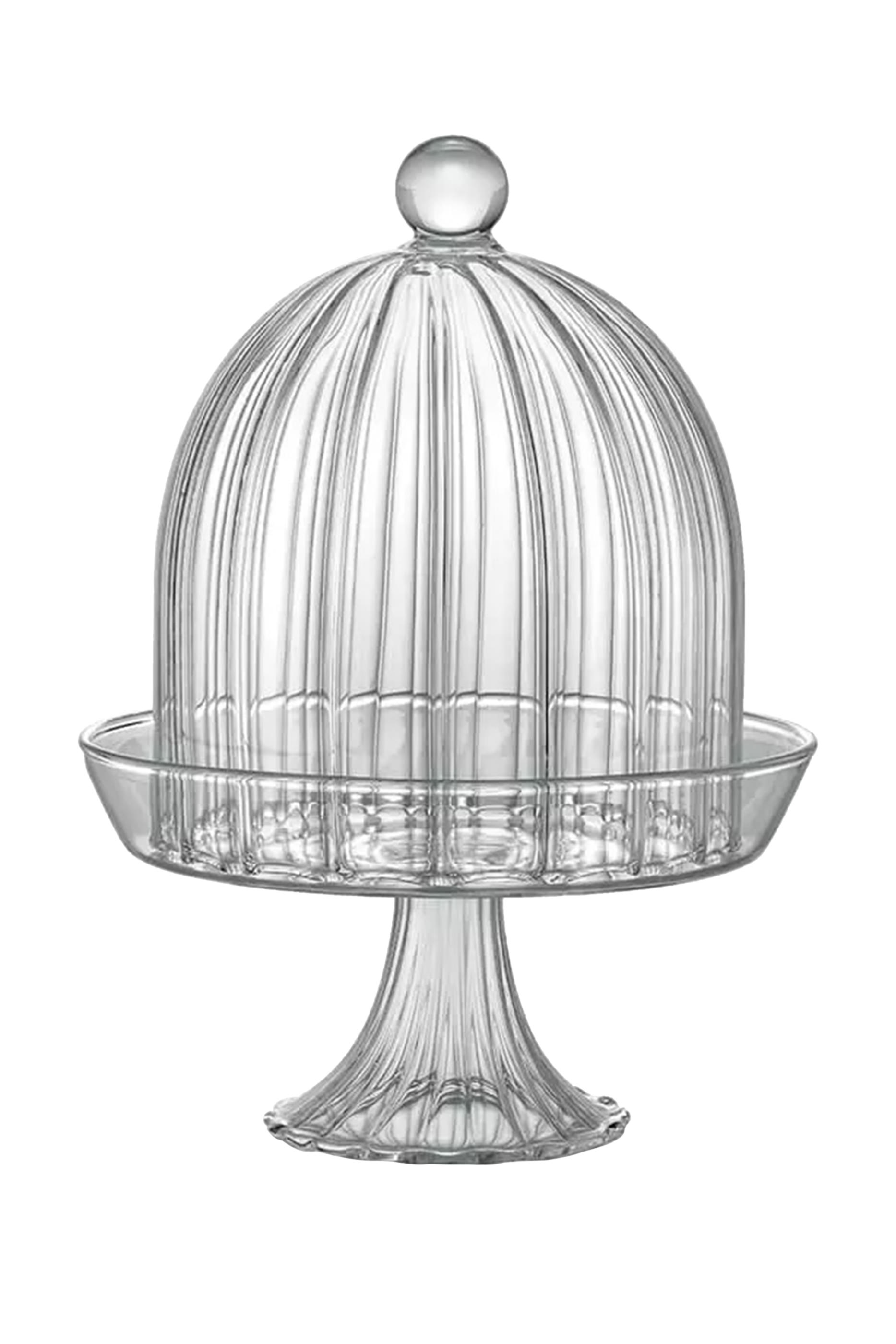 حامل كيك صحارى مع غطاء