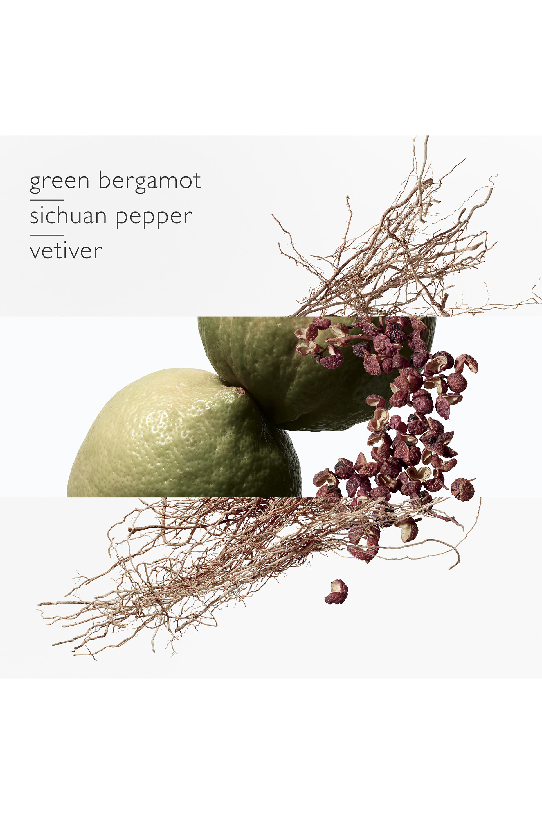 Terre d'Hermès Eau Intense Vétiver, ماء عطر