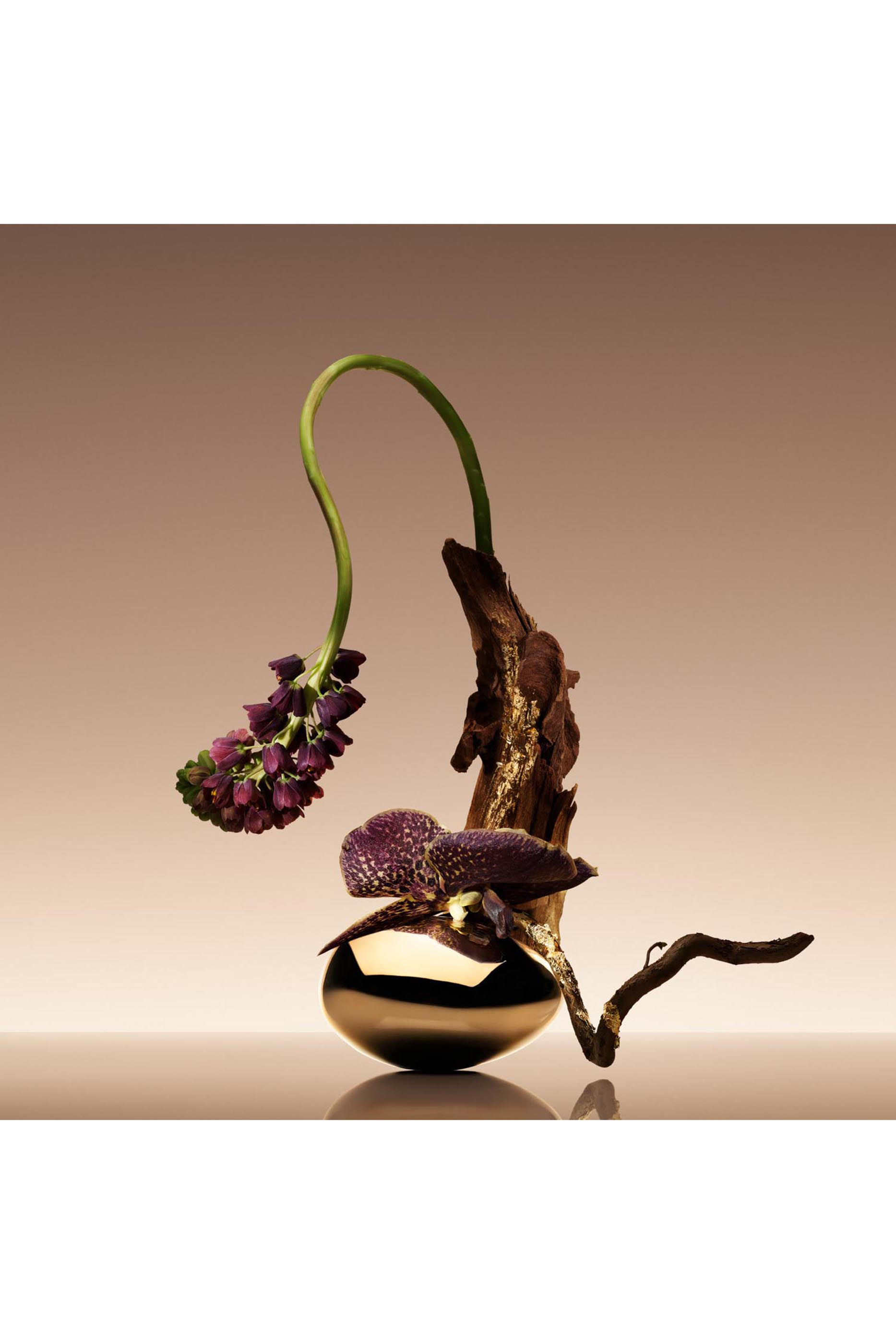 أو دو بارفان بريفي كوير نو