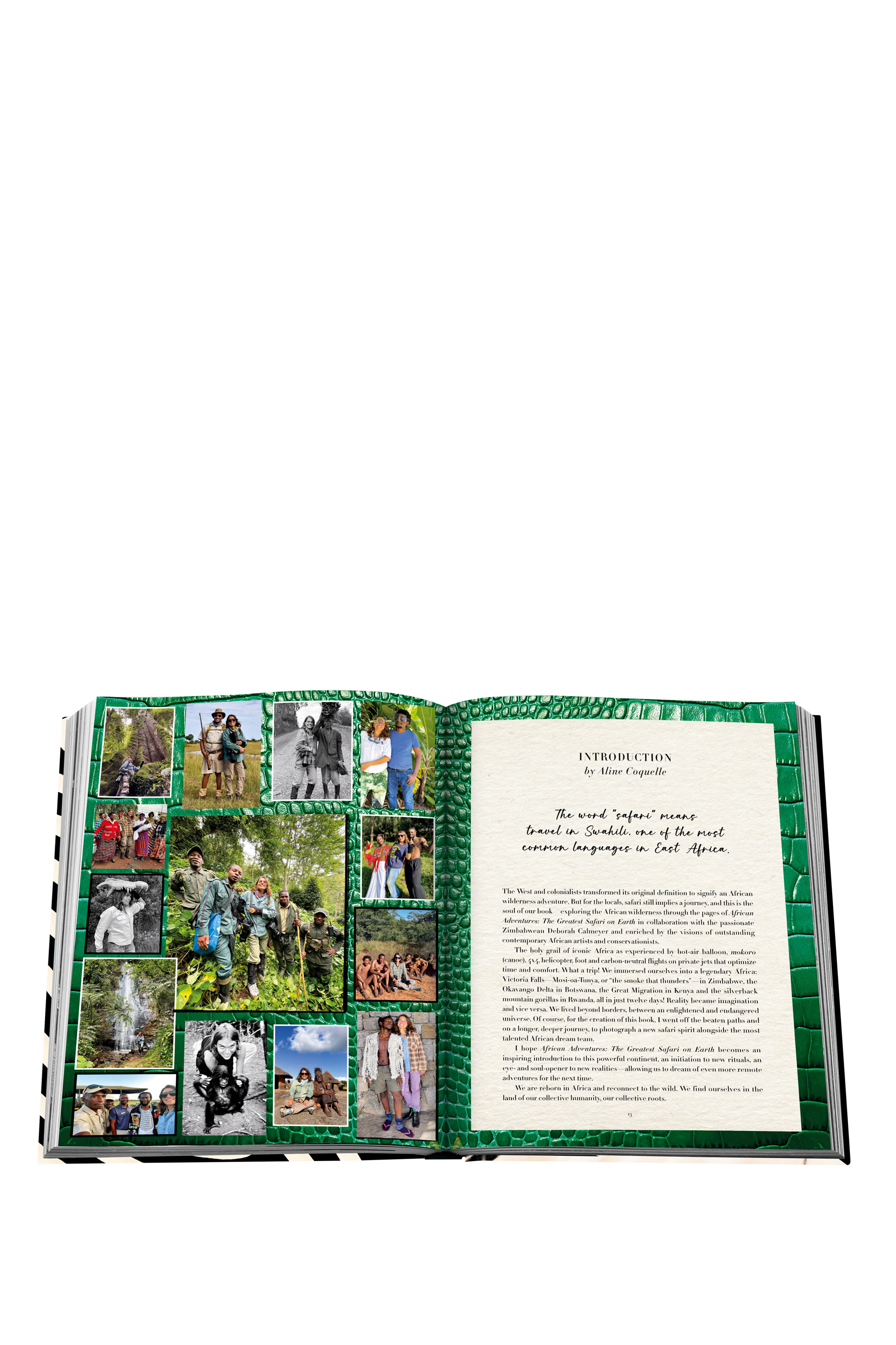 كتاب أفريكان ادفنترز: ذا جريتست سفاري اون آرث