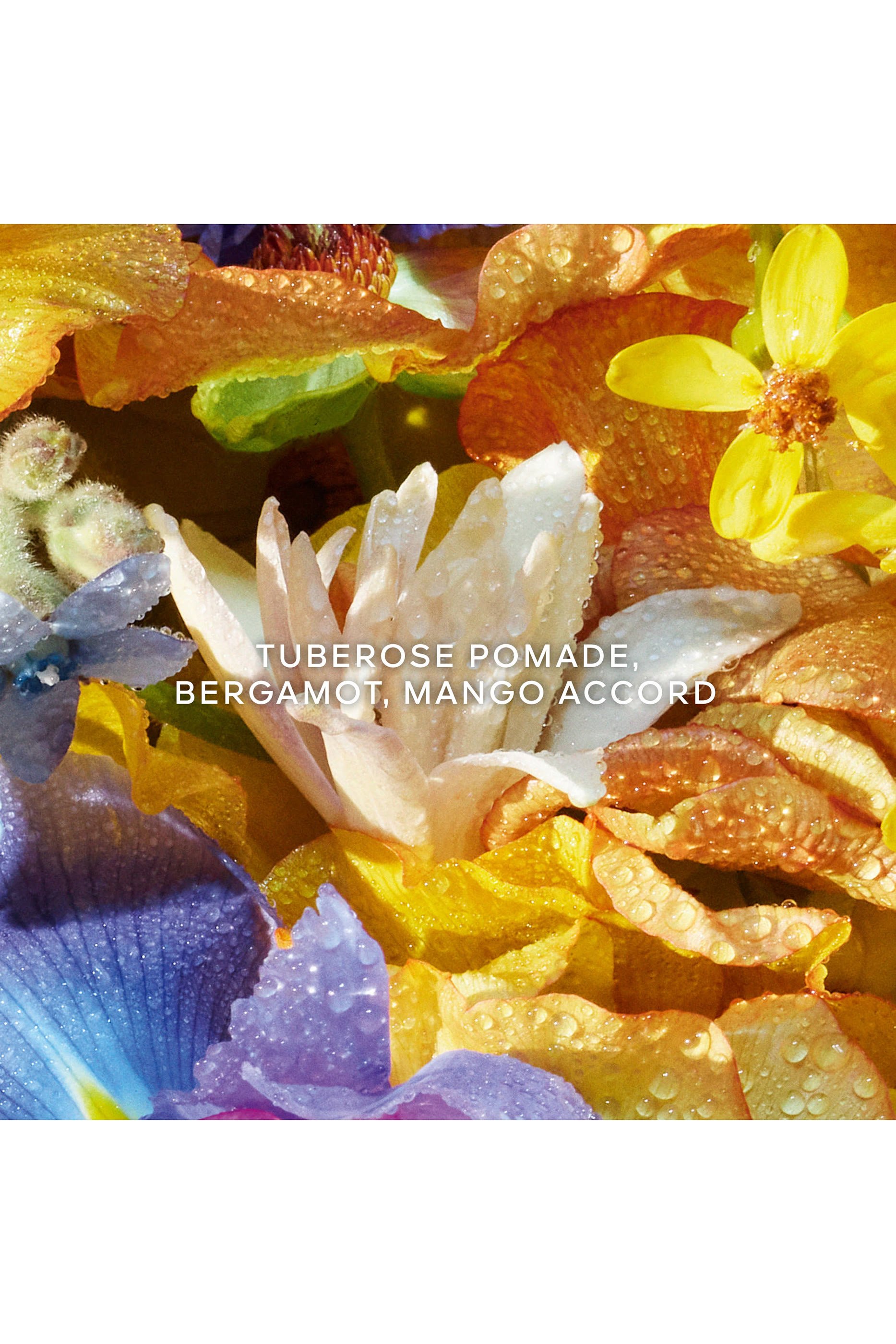 كريم اليدين أكوا أليجوريا فلورابلوم