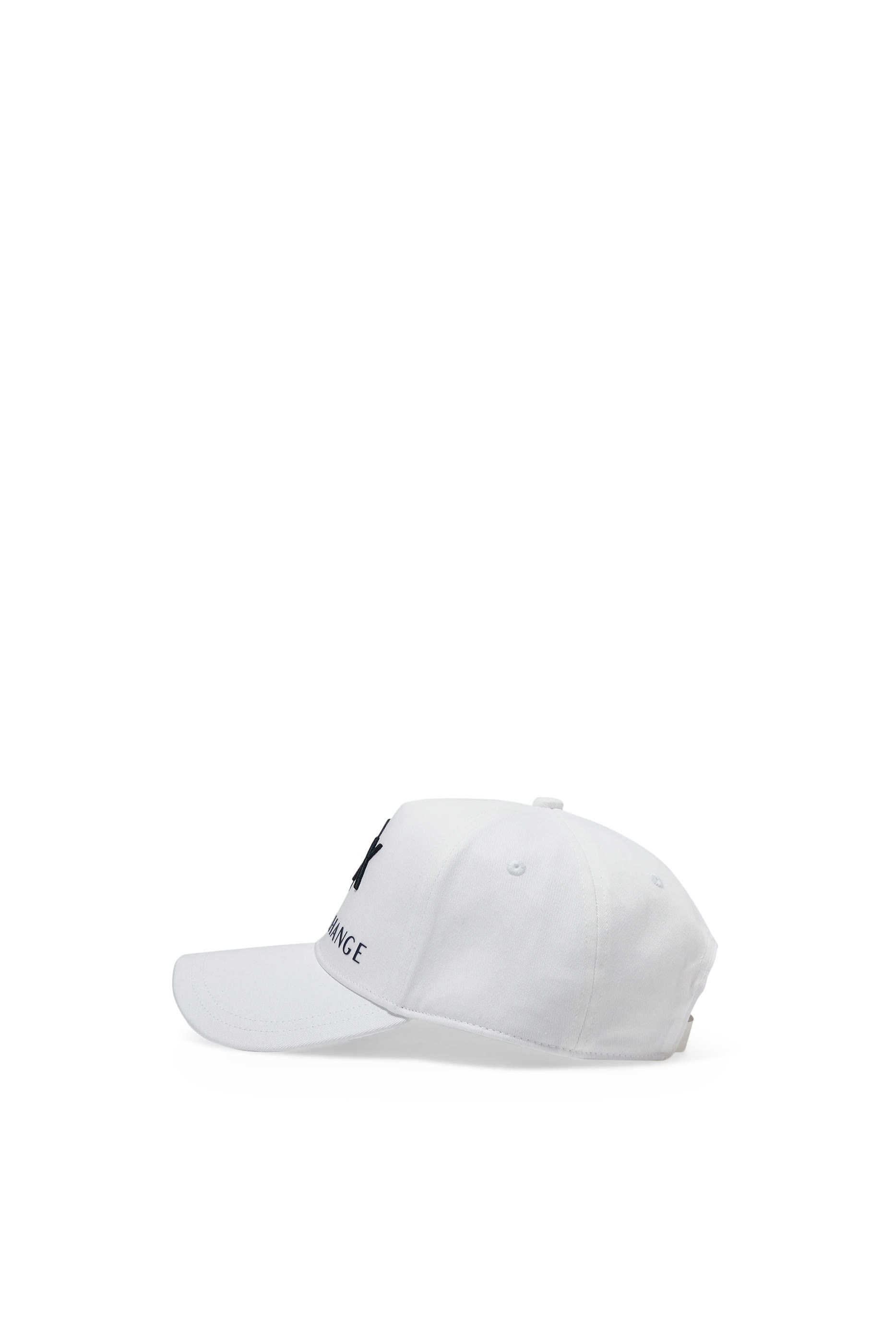 AX Logo Baseball Cap