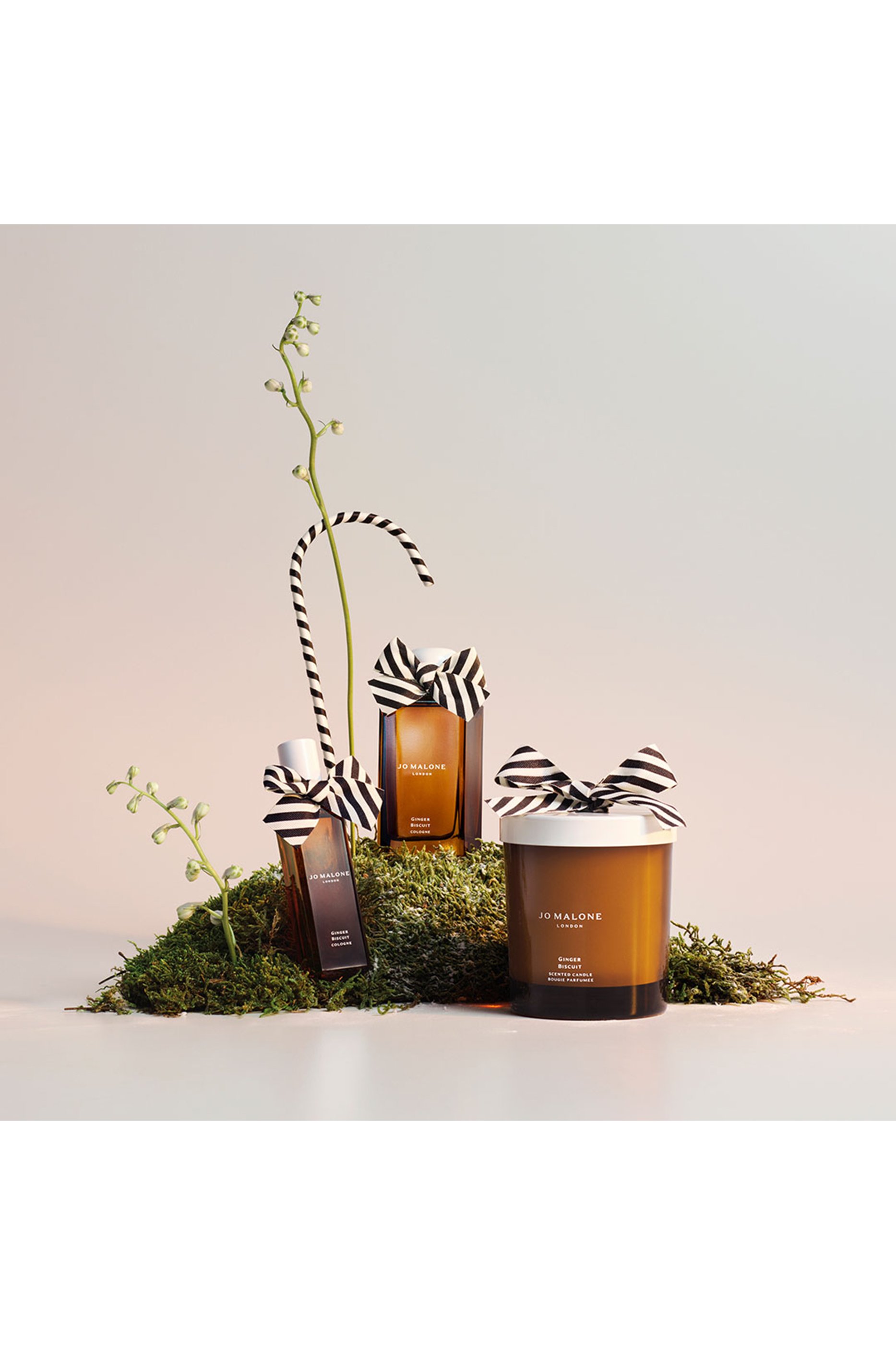 أو دو تواليت جينجر بيسكت