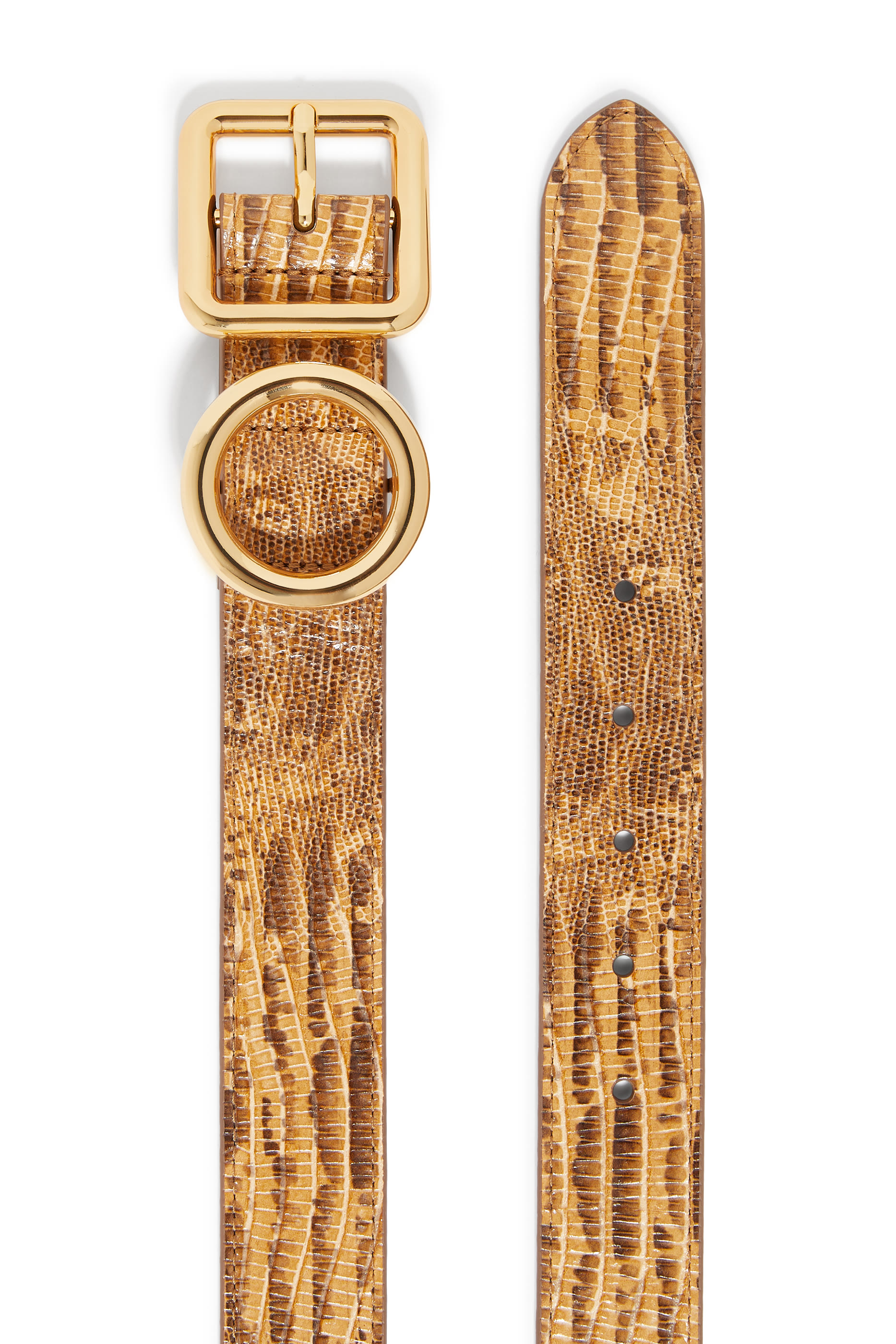 حزام ريجالو