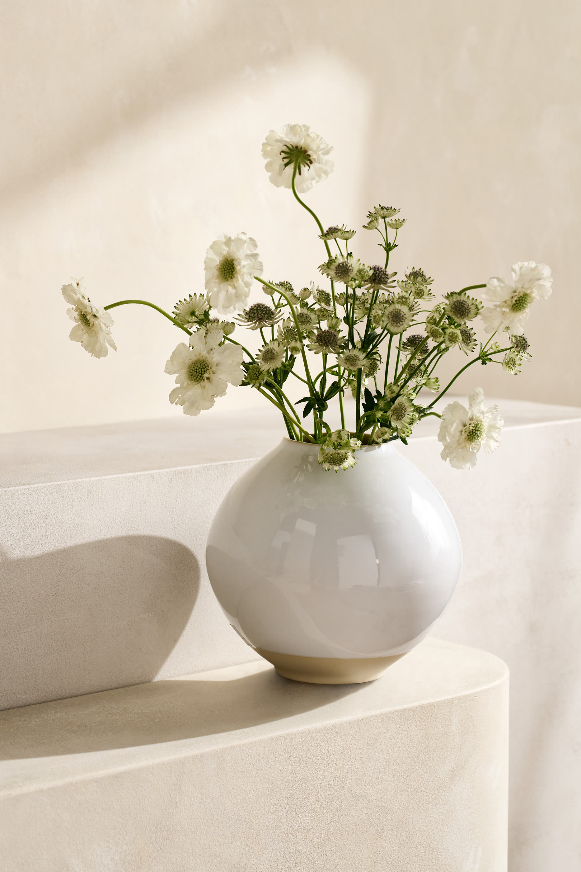 مزهرية بارهام  سيراميك دائرية &ndash; كبيرة