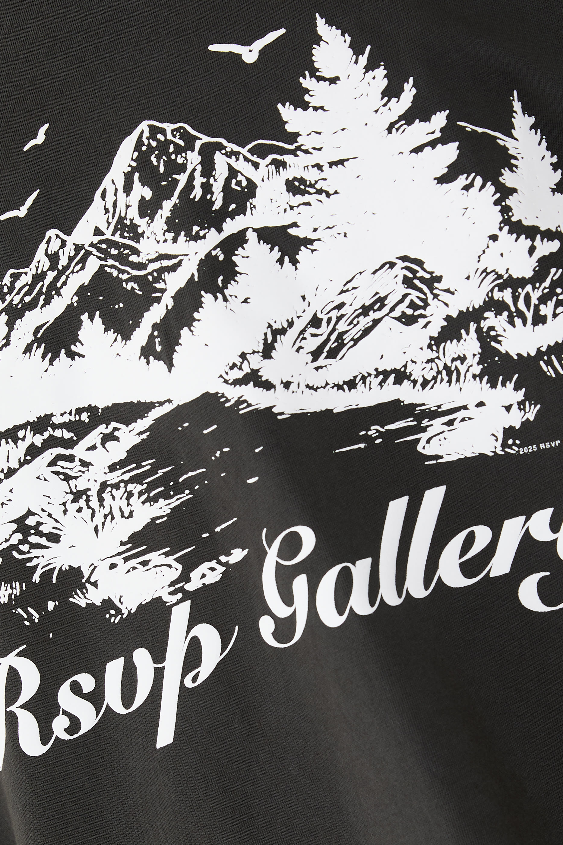 تيشيرت بياقة ضيقة ونقشة ار اس في بي جالري وأشجار