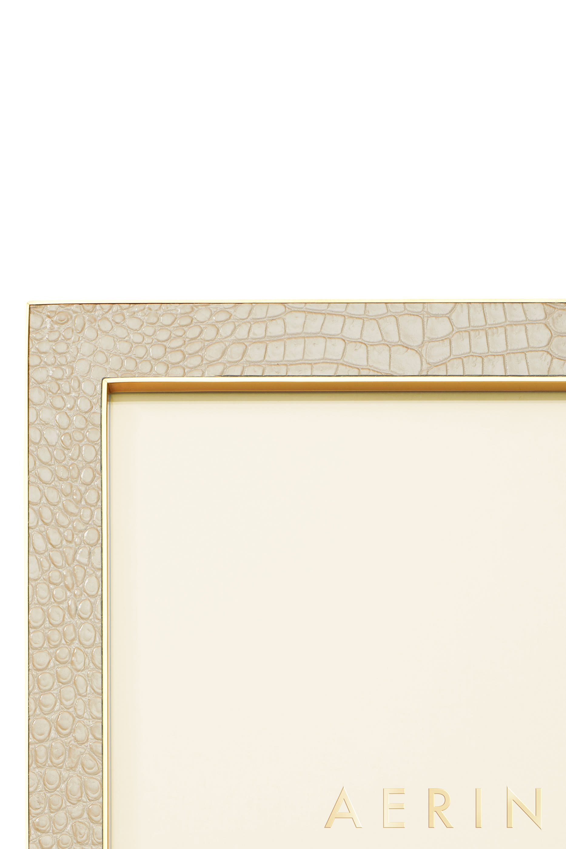 إطار كلاسيكي جلد بنقشة جلد تمساح