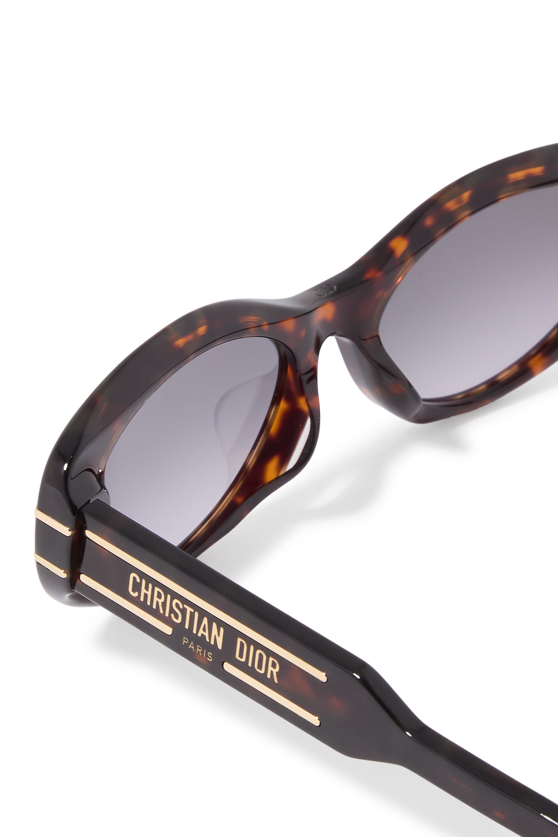DiorSignature B8U Sunglasses 