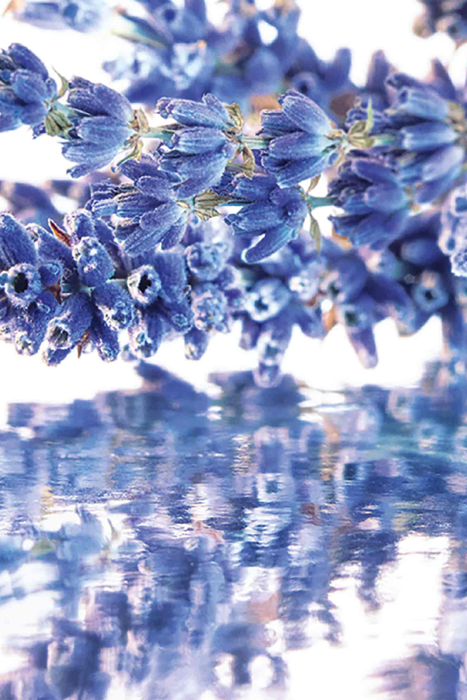 مجموعة هدية أو دو بافان مون جيرلان