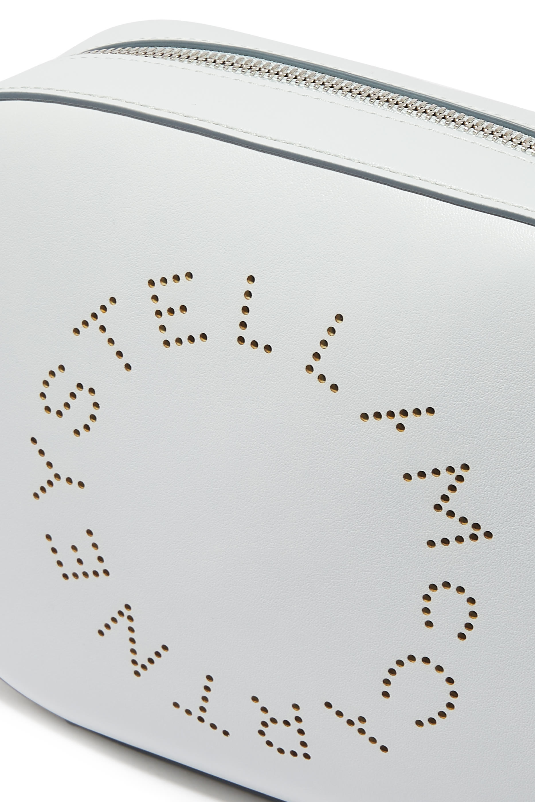 حقيبة كاميرا صغيرة