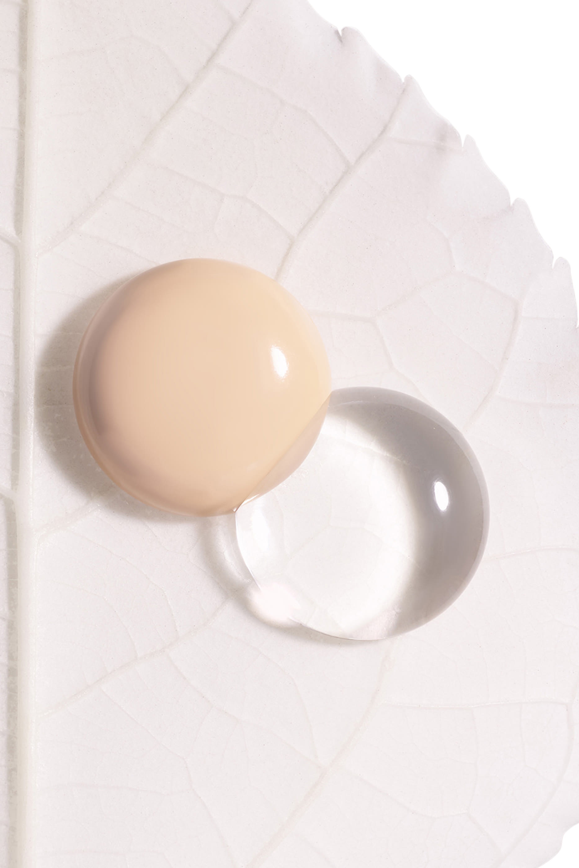 عبوة إعادة ملء كريم أساس فيتو-بلان لو كوسين