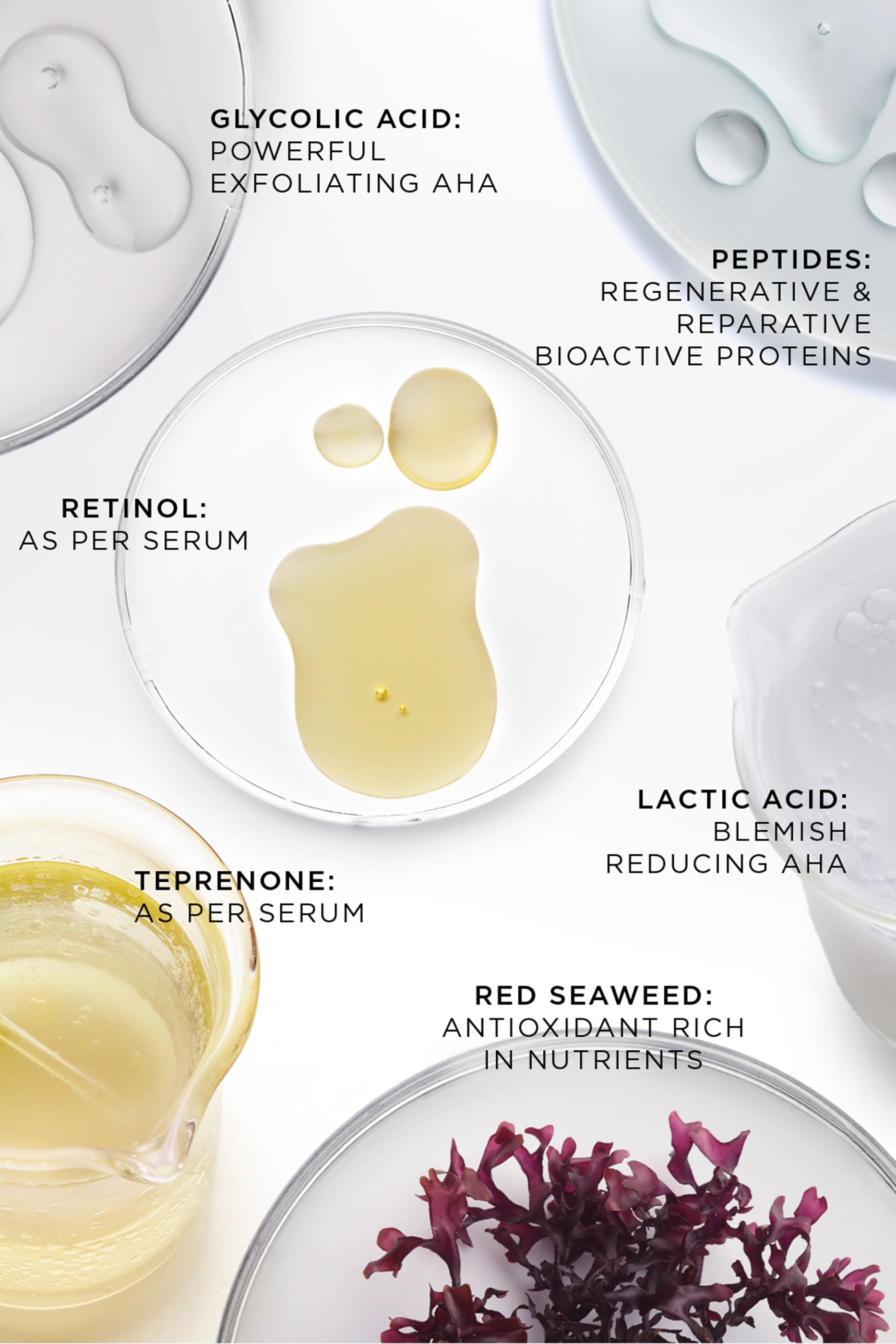 عبوة إعادة ملء المرطب الليلي لتجديد البشرة