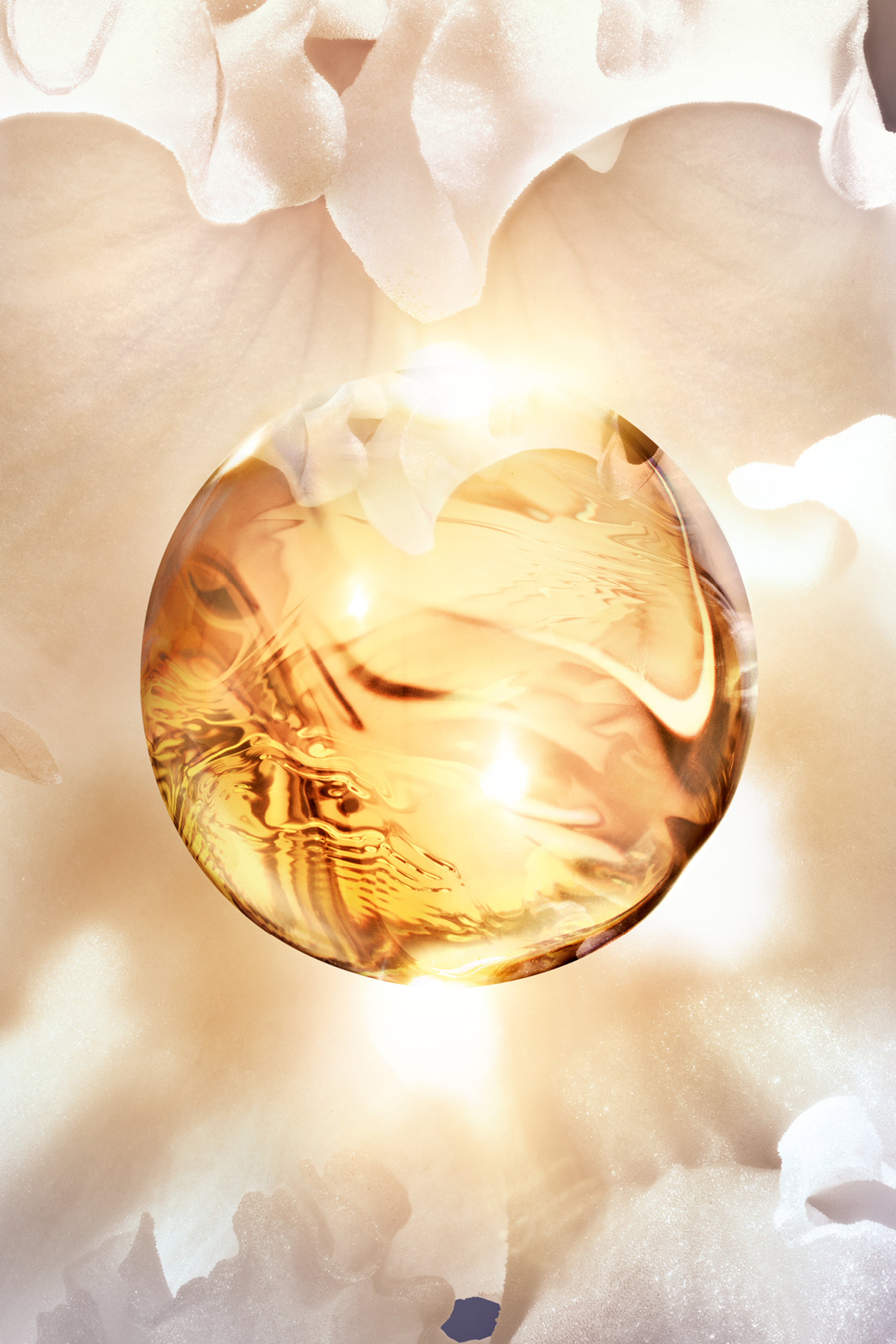 كريم غني أوركيد أمبريال