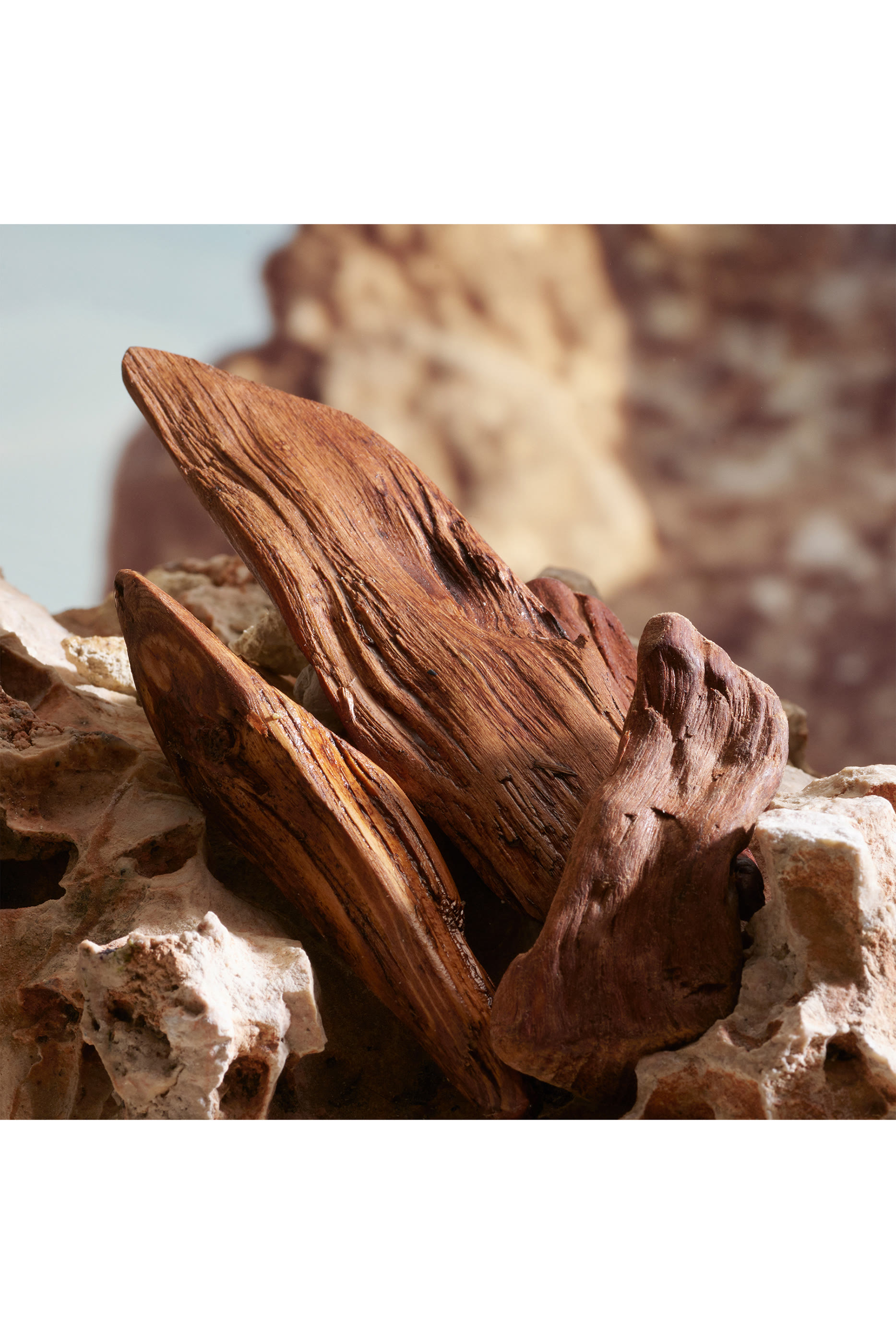 عطر كاي من دولتشي اند غابانا