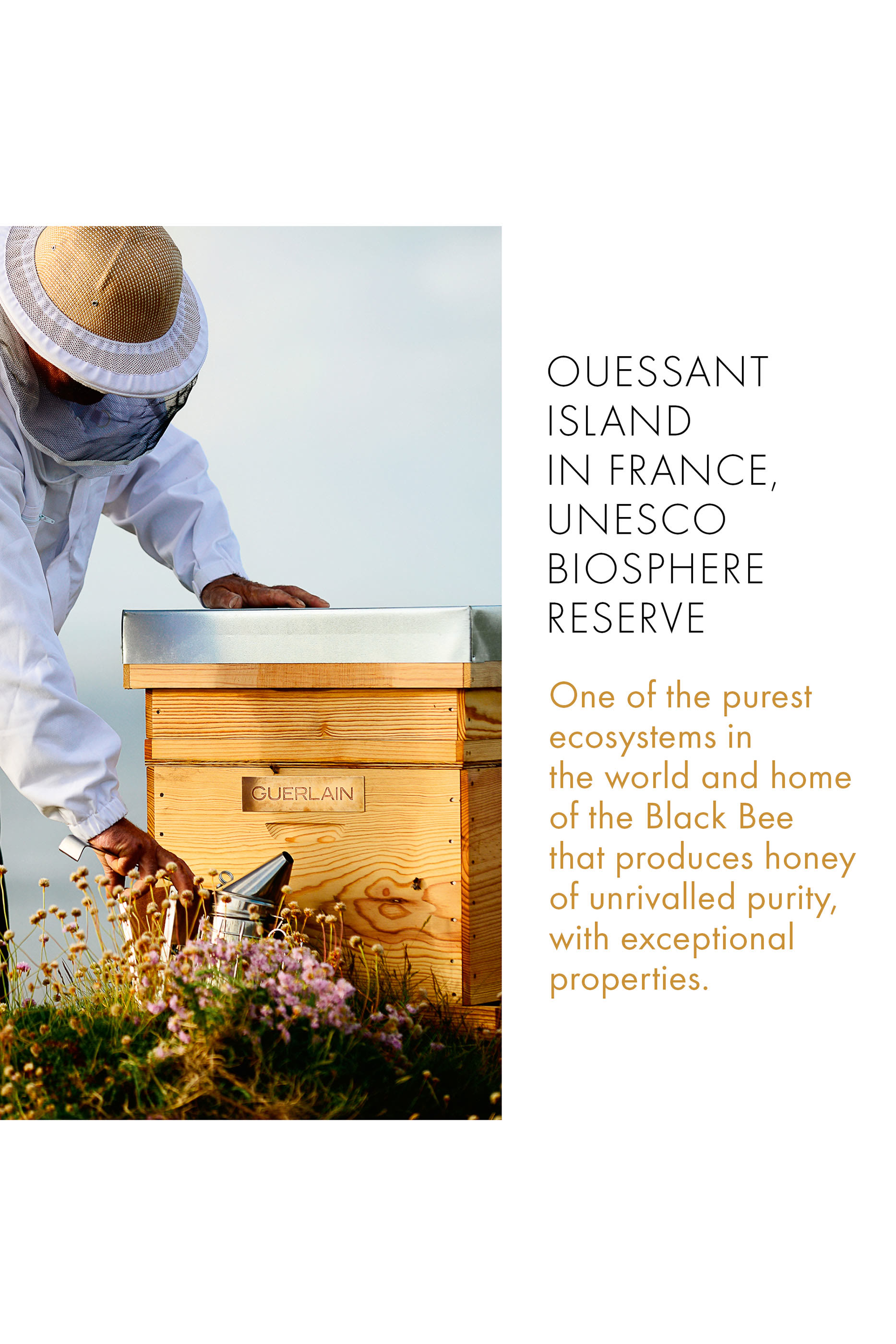 مرطب أباي رويال لإصلاح وتجديد شباب بشرة اليدين