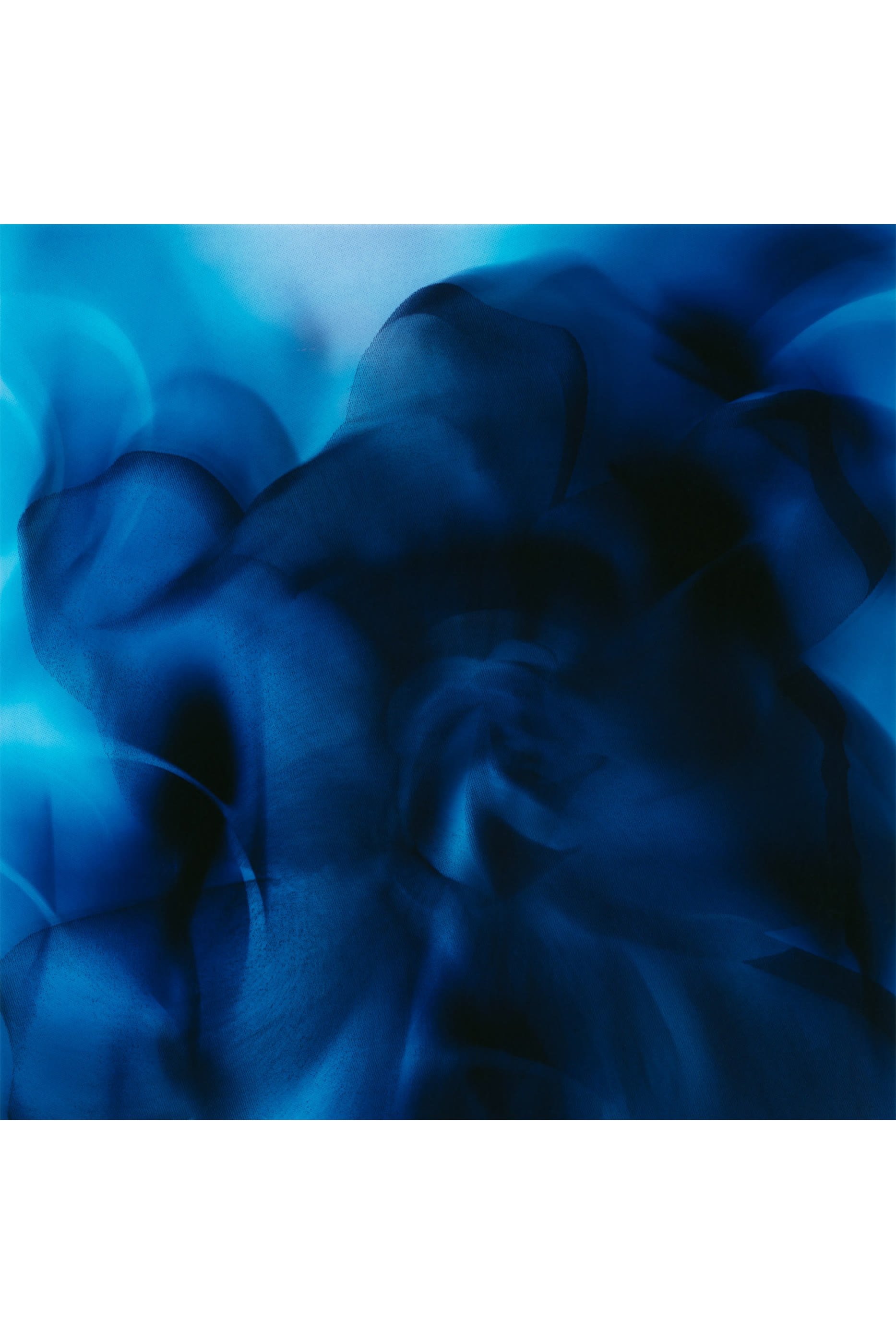 عطر مركز كازابلانكا ليلي