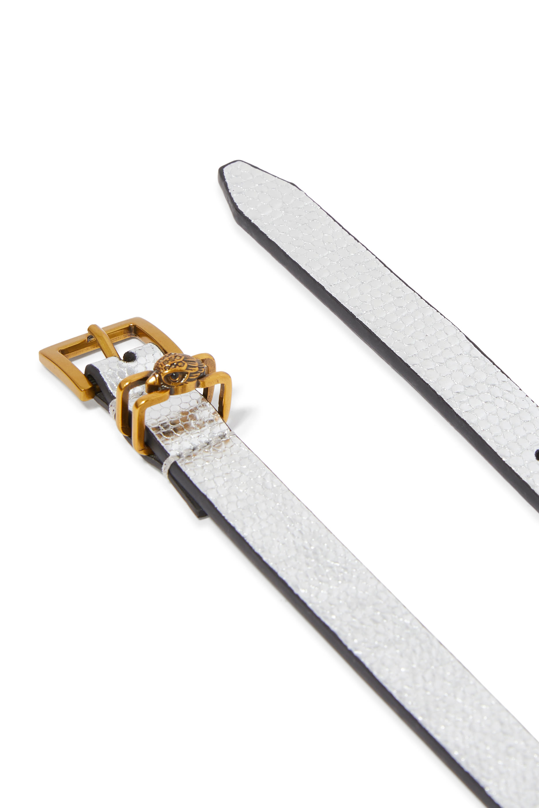 حزام شروديتش جلد