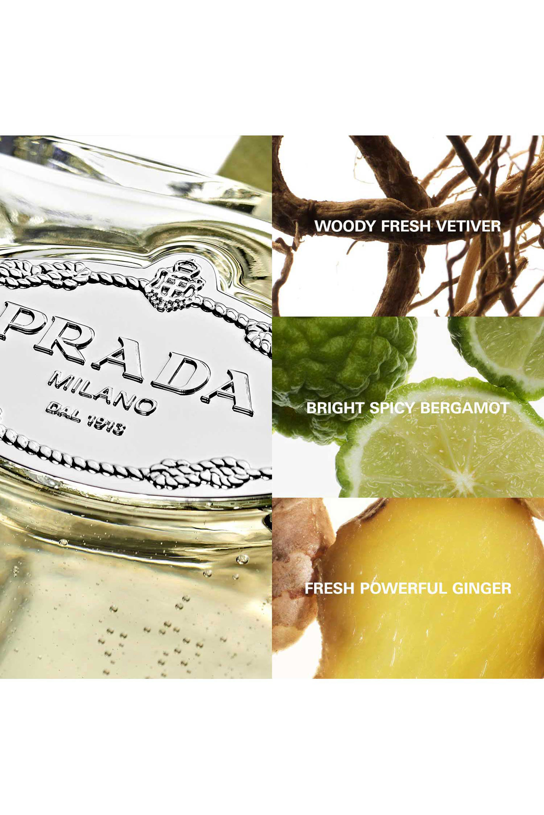 ماء عطر لي إنفيوجنس دو برادا فيفيتر