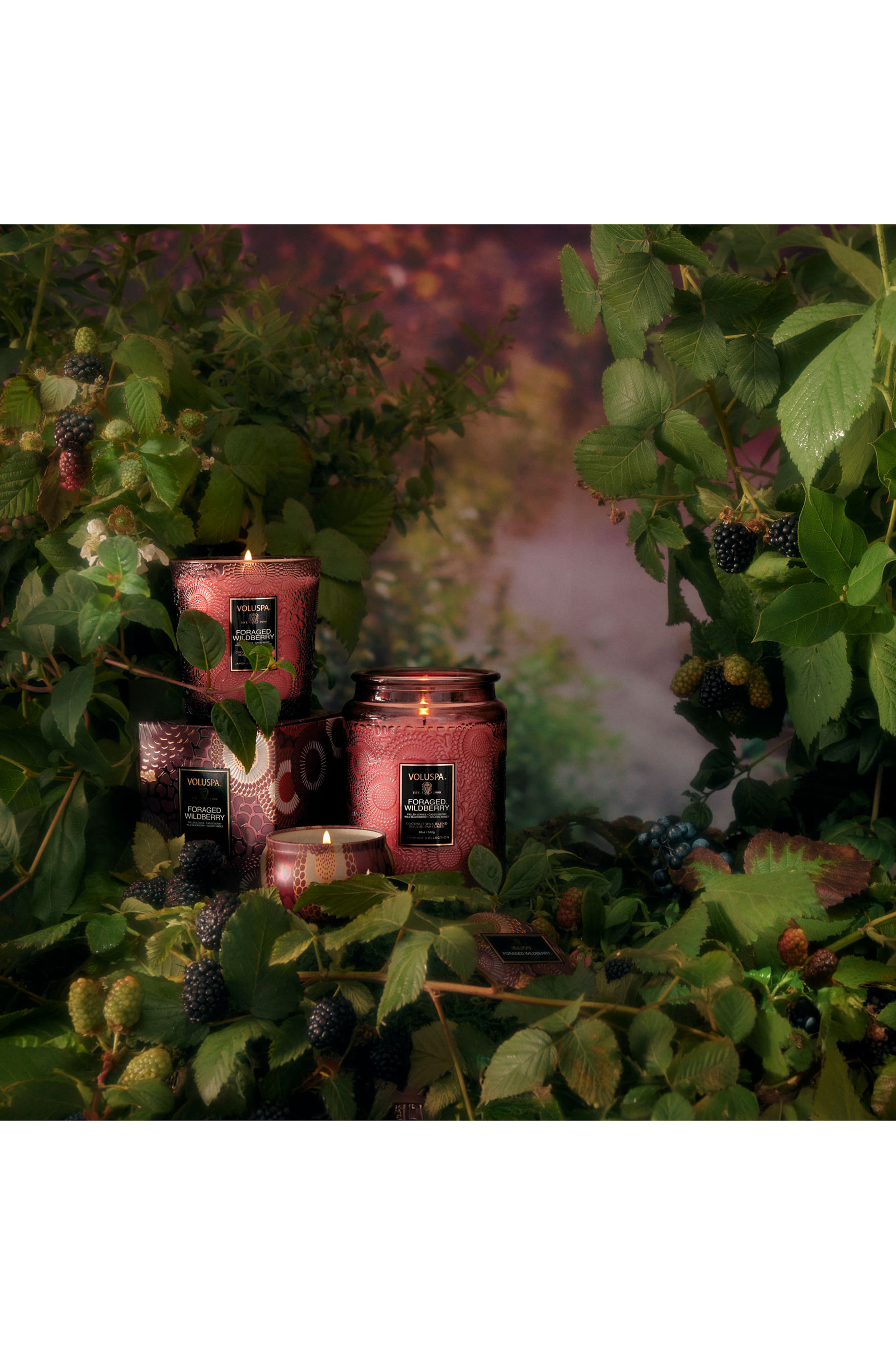 شمعة فوراجد وايلدبيري في وعاء فاخر