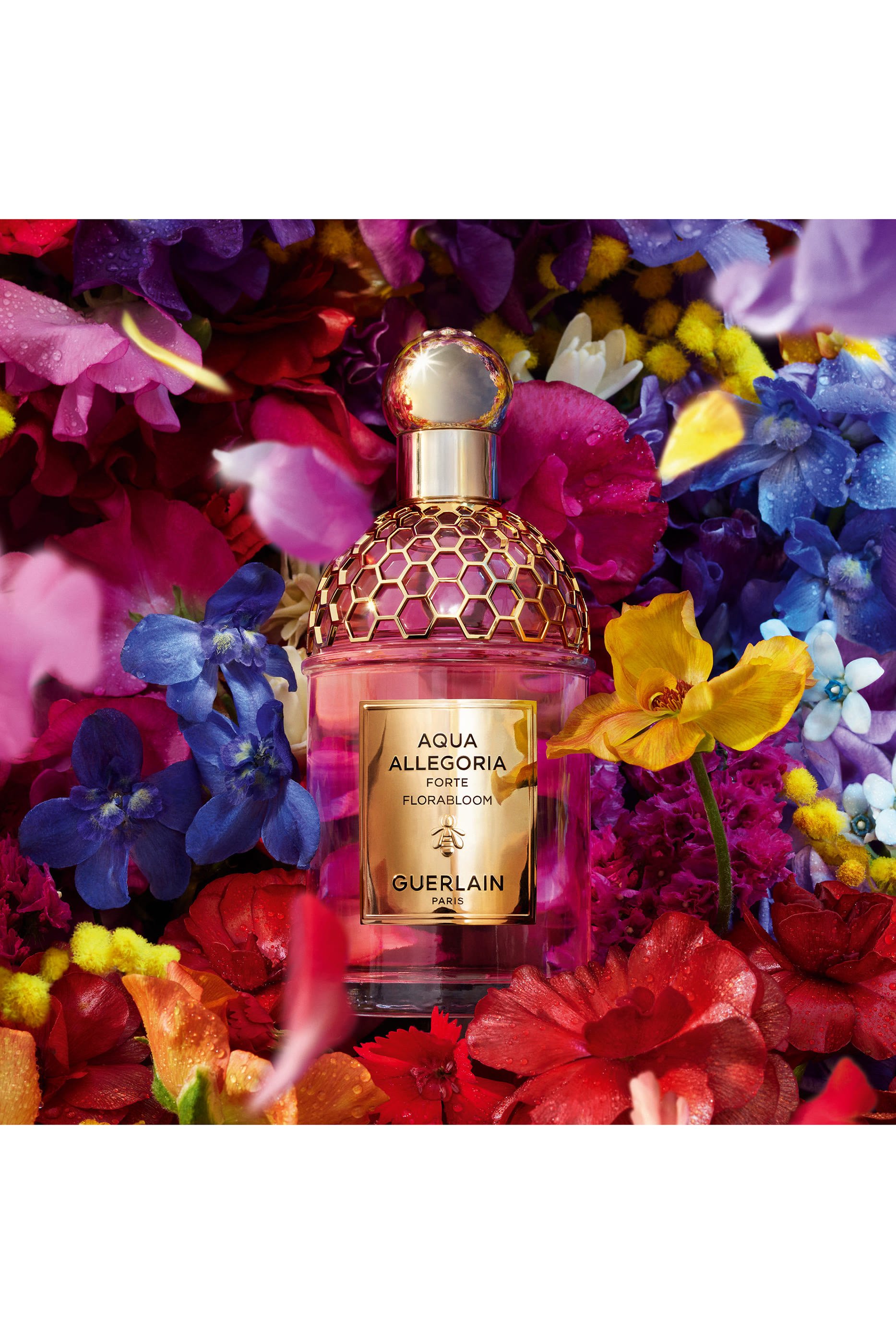 مجموعة هدية أكوا أليجوريا فلورابلوم فورتي