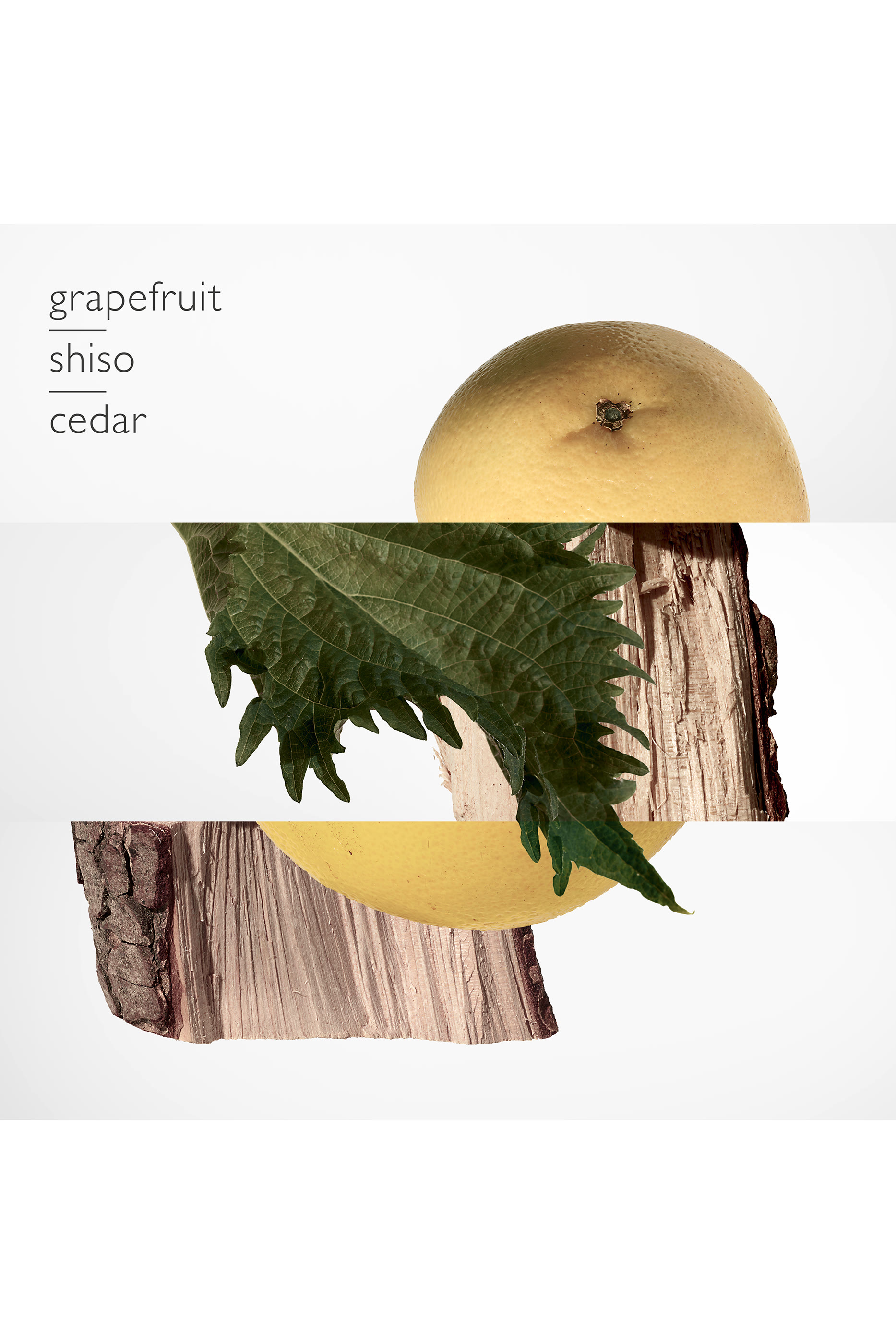 Terre d'Hermès, عطر