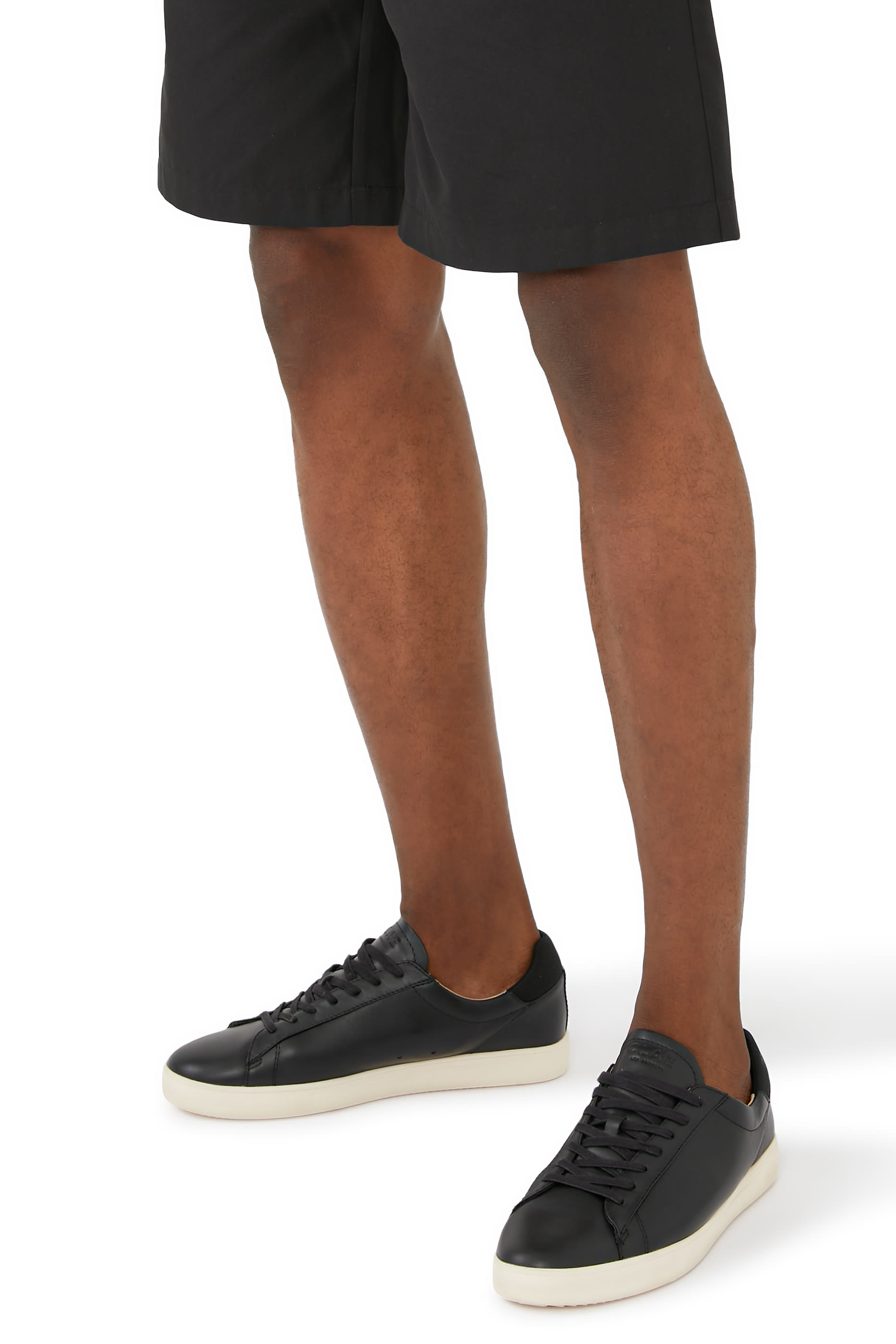 سنيكرز برادلي إيسنشلز